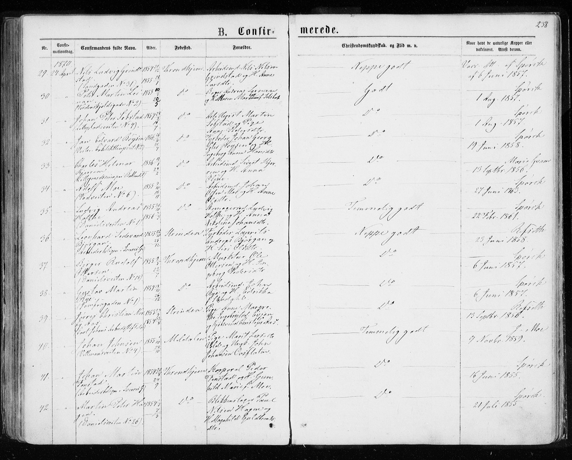 Ministerialprotokoller, klokkerbøker og fødselsregistre - Sør-Trøndelag, AV/SAT-A-1456/601/L0054: Parish register (official) no. 601A22, 1866-1877, p. 238