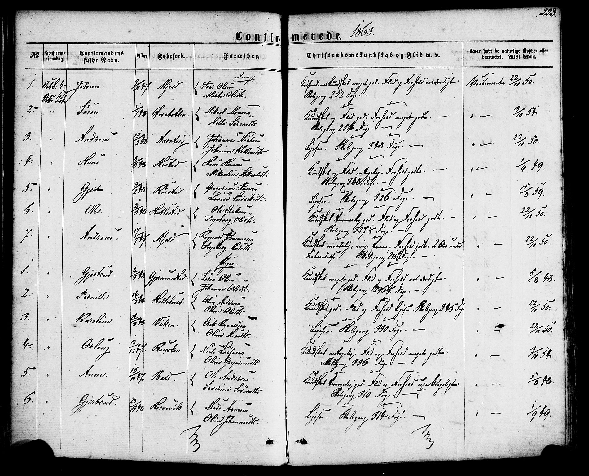 Gaular sokneprestembete, SAB/A-80001/H/Haa: Parish register (official) no. A 5, 1860-1881, p. 223