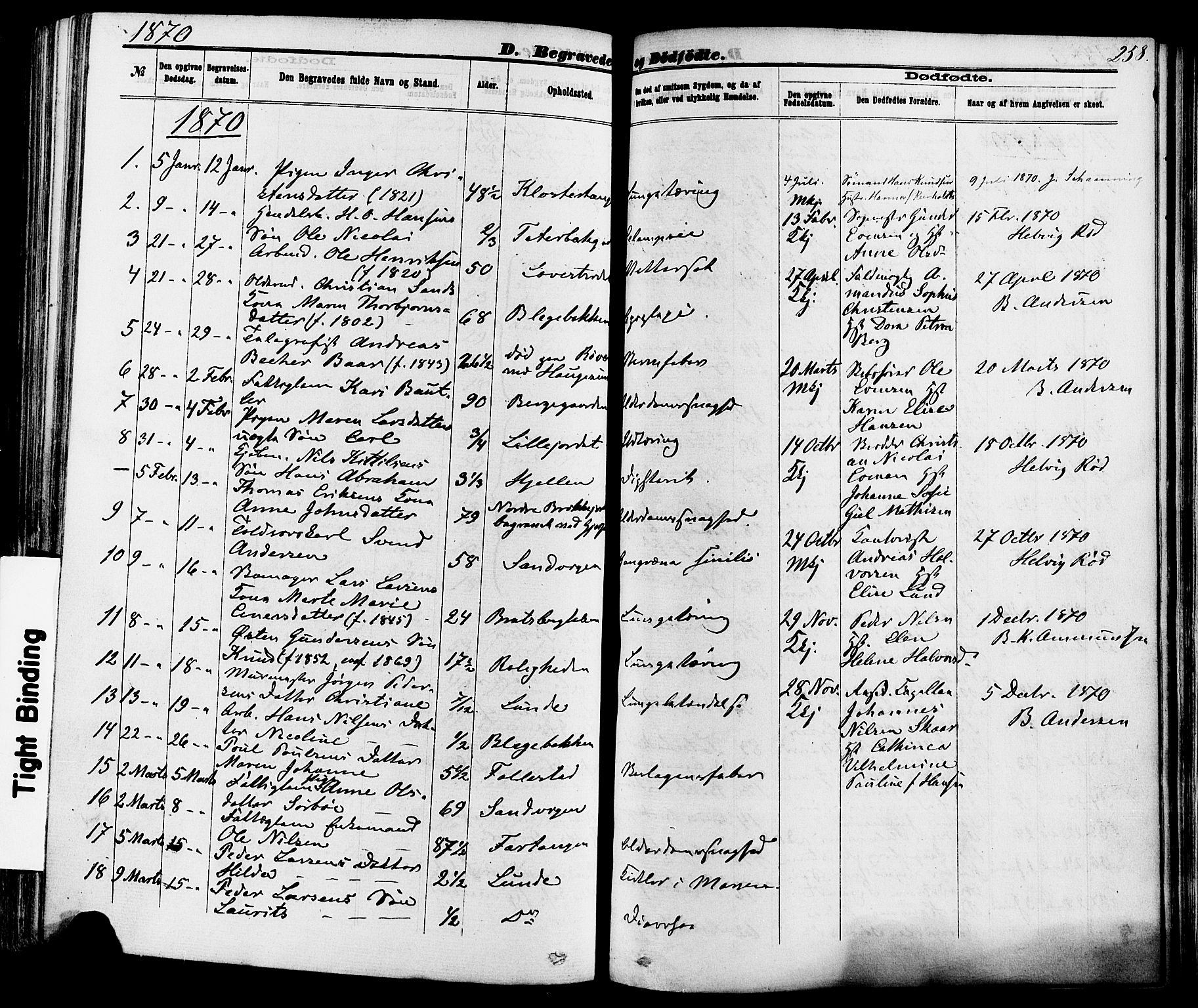 Skien kirkebøker, SAKO/A-302/F/Fa/L0008: Parish register (official) no. 8, 1866-1877, p. 258