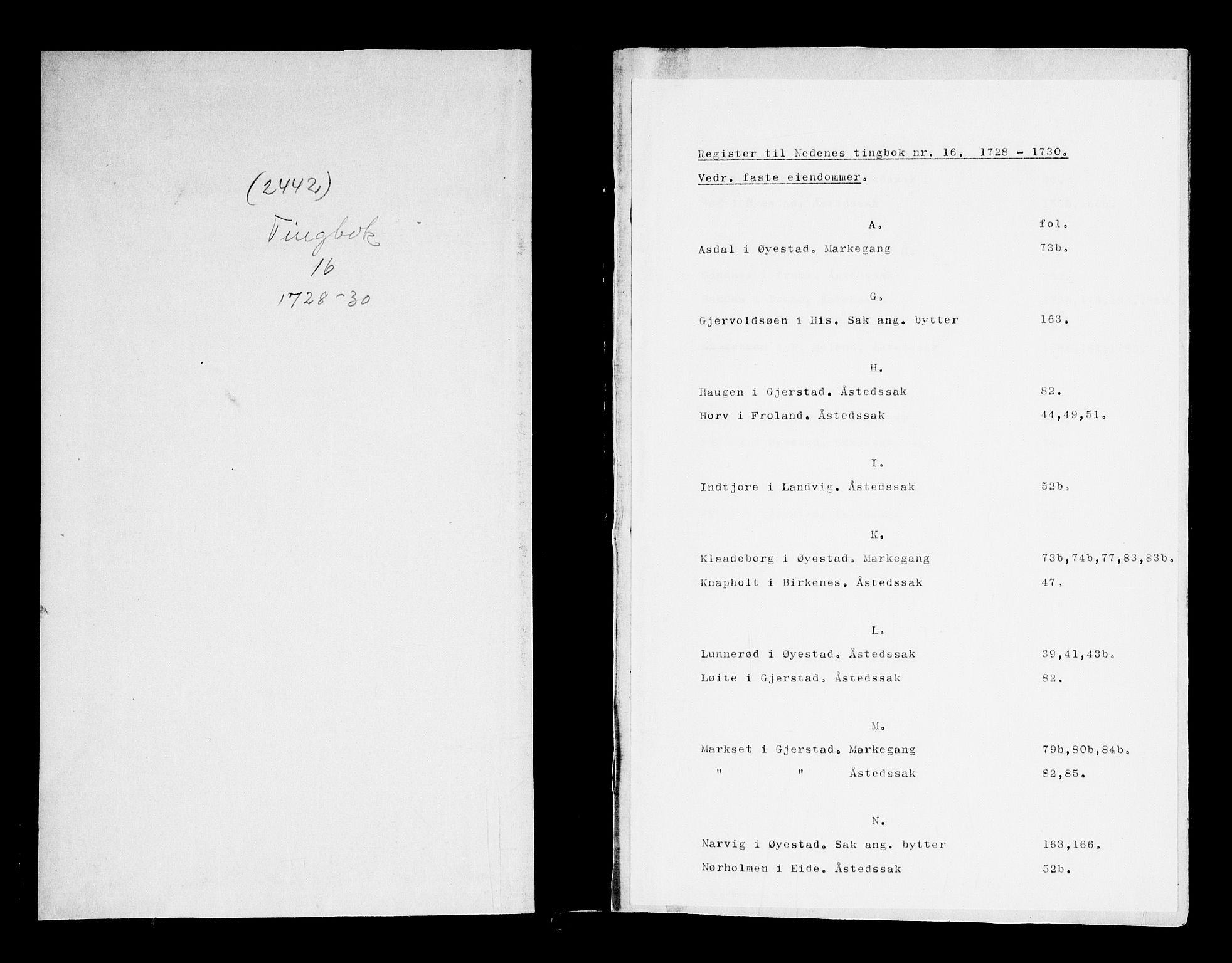 Nedenes sorenskriveri før 1824, AV/SAK-1221-0007/F/Fa/L0021: Tingbok med register nr 16, 1728-1730