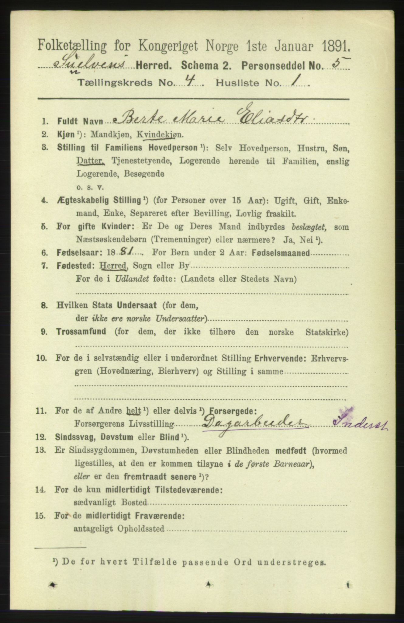 RA, 1891 census for 1523 Sunnylven, 1891, p. 875