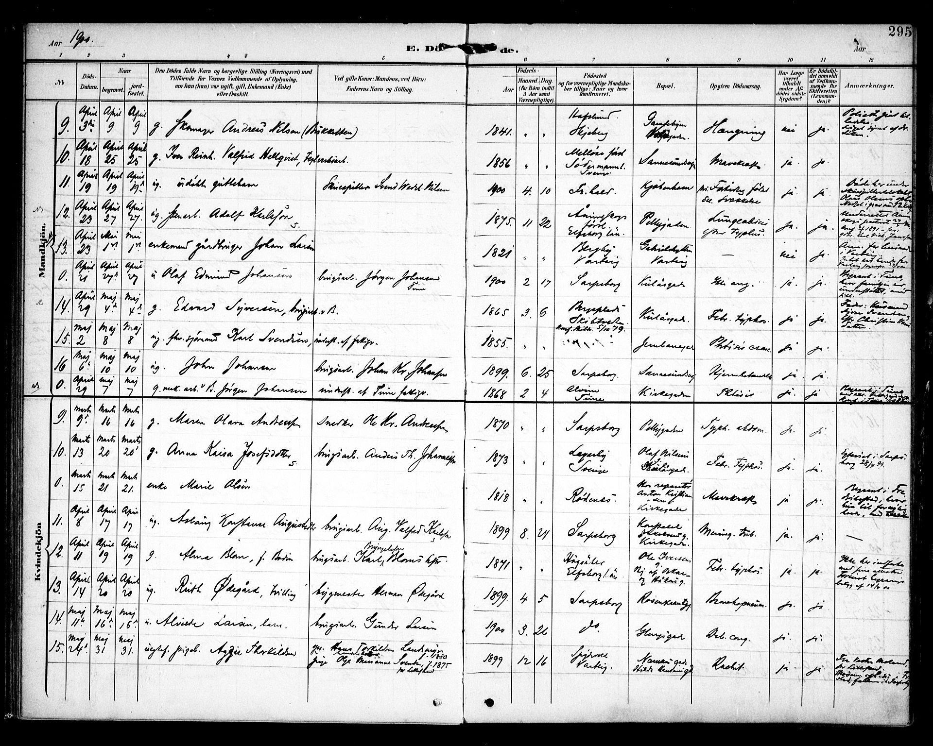 Sarpsborg prestekontor Kirkebøker, AV/SAO-A-2006/F/Fa/L0006: Parish register (official) no. 6, 1900-1909, p. 295