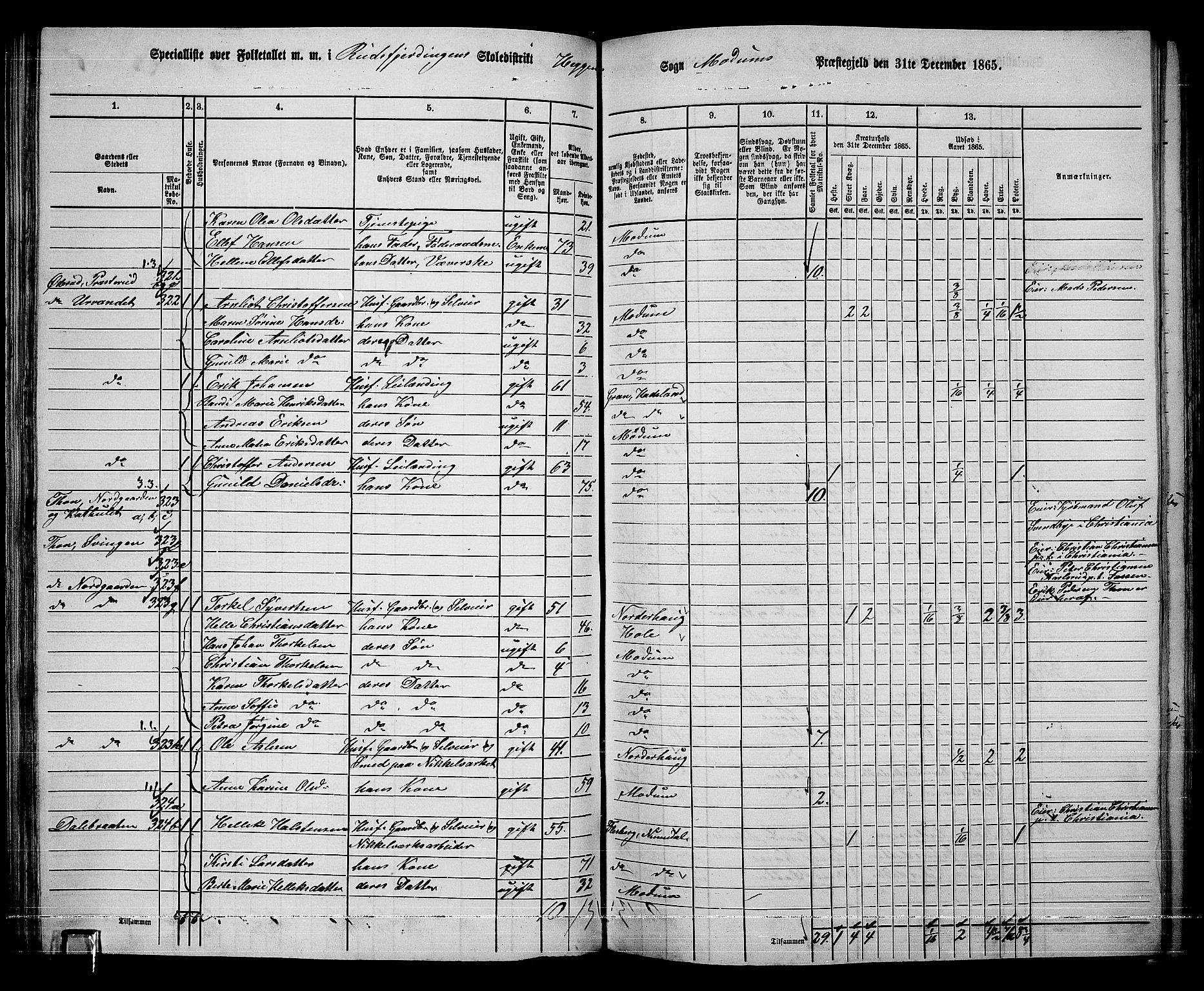 RA, 1865 census for Modum, 1865, p. 117