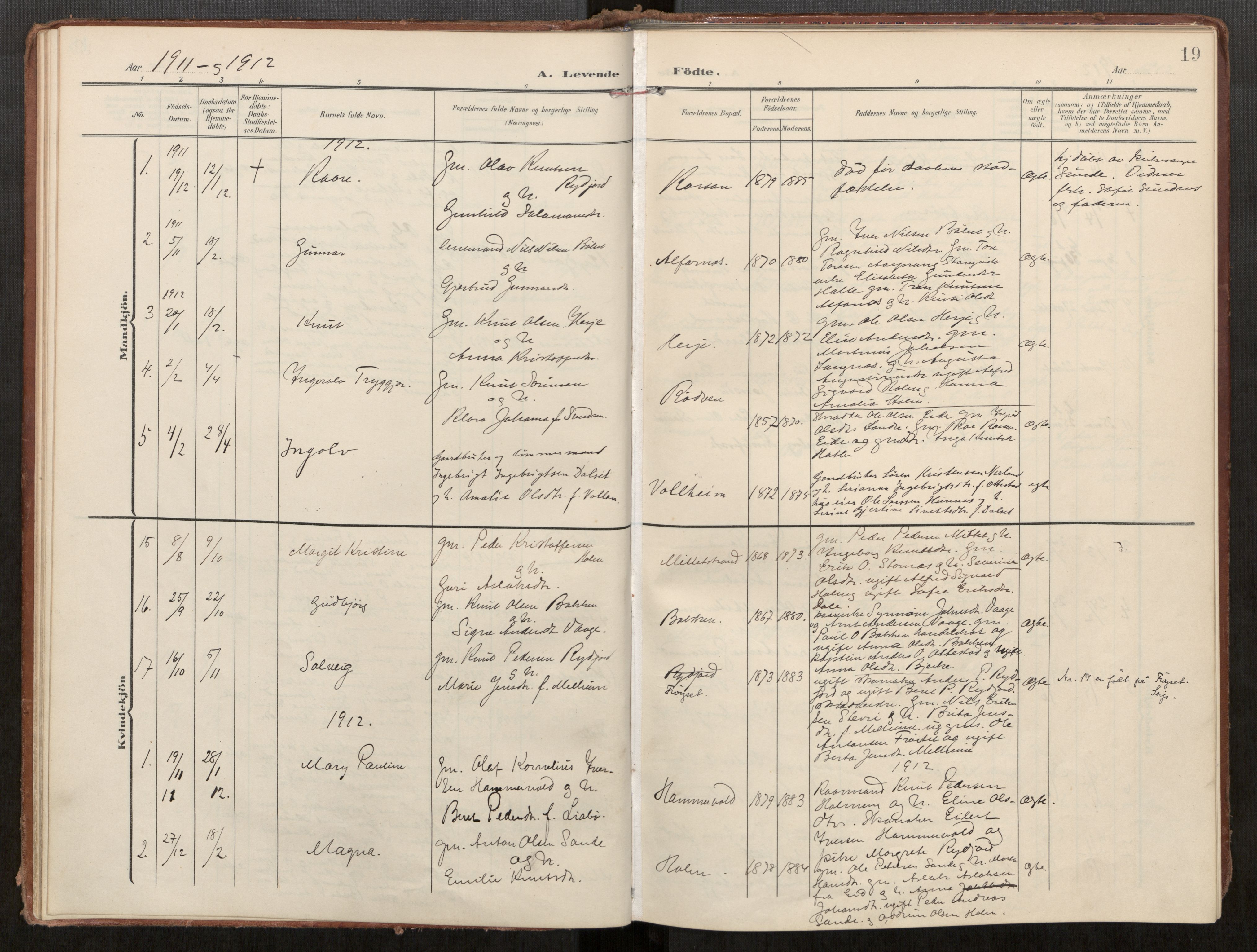 Ministerialprotokoller, klokkerbøker og fødselsregistre - Møre og Romsdal, AV/SAT-A-1454/549/L0618: Parish register (official) no. 549A01, 1906-1927, p. 19