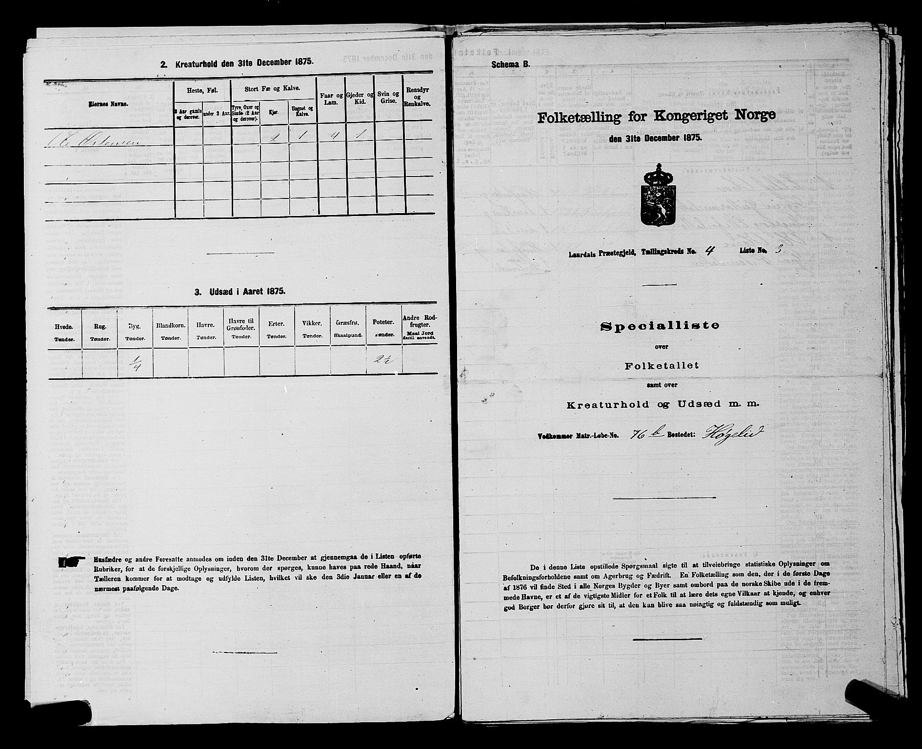 SAKO, 1875 census for 0833P Lårdal, 1875, p. 419