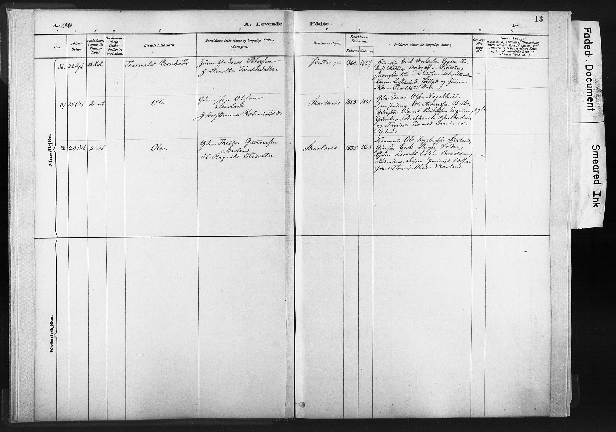 Ministerialprotokoller, klokkerbøker og fødselsregistre - Nord-Trøndelag, SAT/A-1458/749/L0474: Parish register (official) no. 749A08, 1887-1903, p. 13