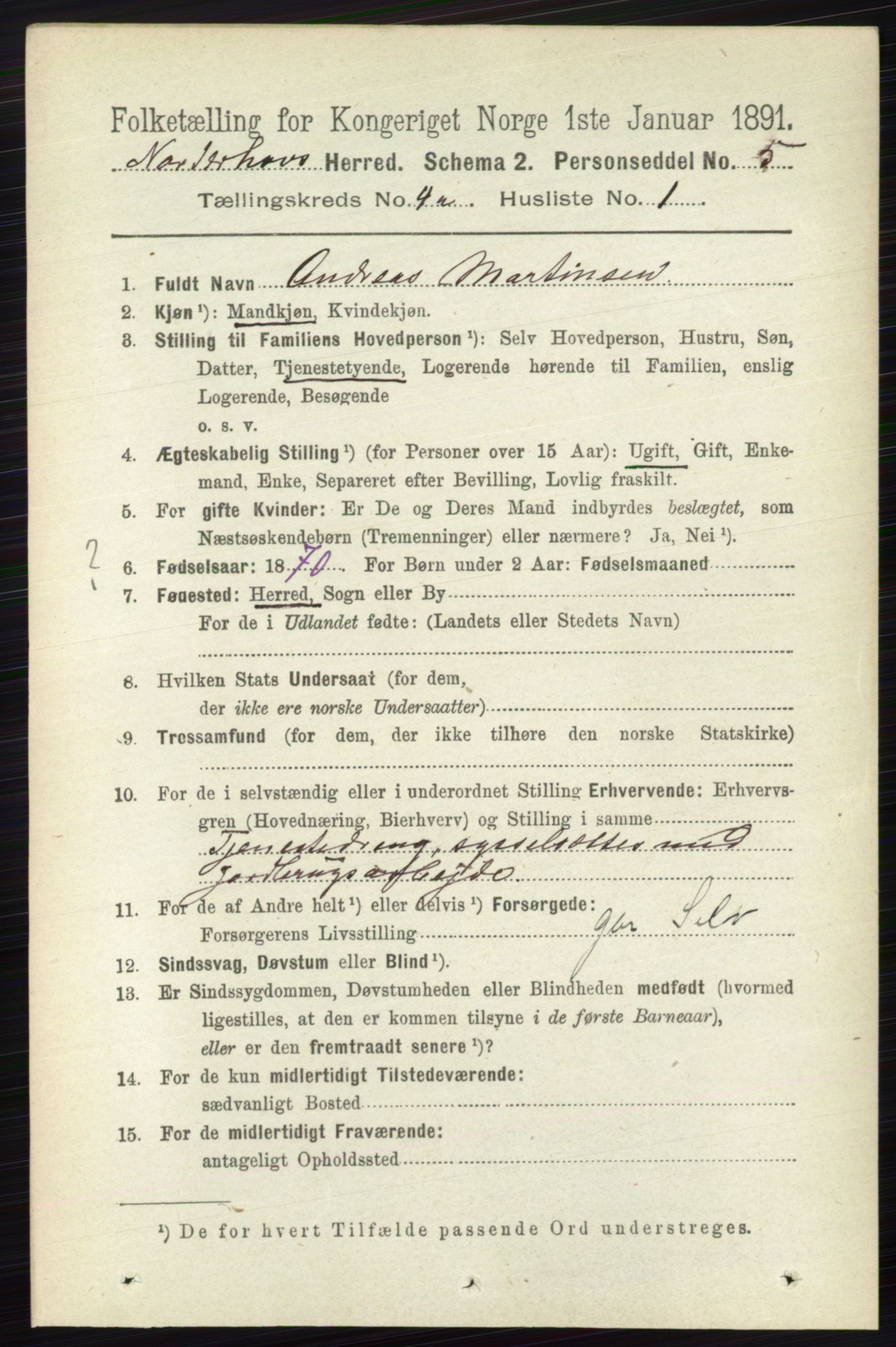 RA, 1891 census for 0613 Norderhov, 1891, p. 1719