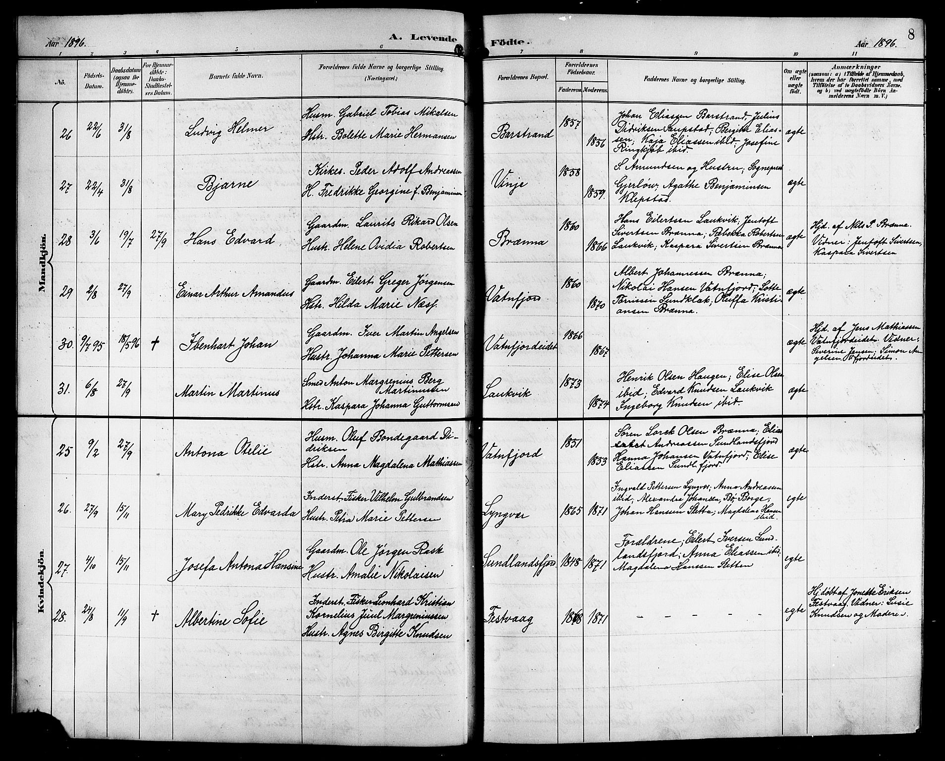 Ministerialprotokoller, klokkerbøker og fødselsregistre - Nordland, AV/SAT-A-1459/876/L1105: Parish register (copy) no. 876C04, 1896-1914, p. 8