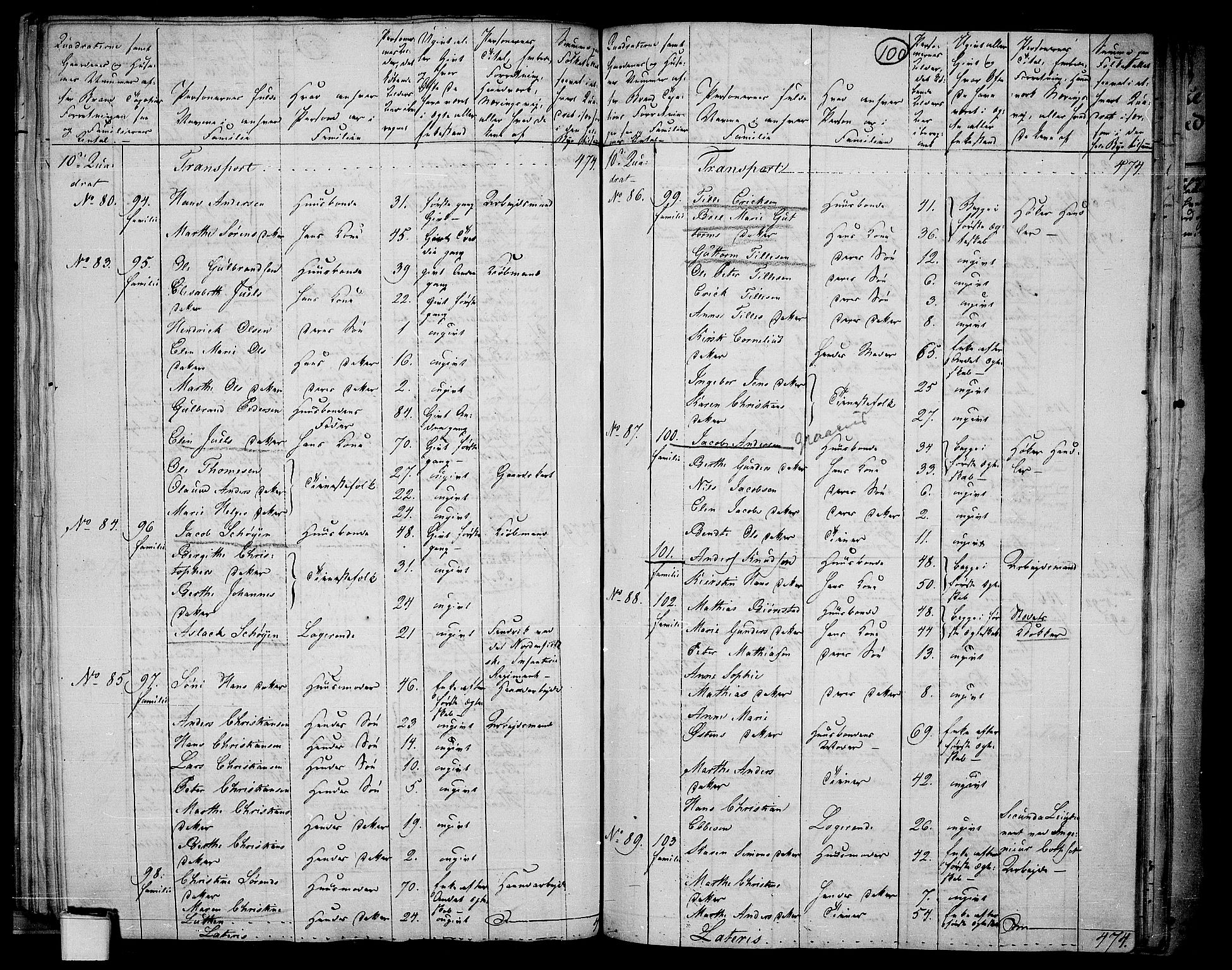 RA, 1801 census for 0103P Fredrikstad, 1801, p. 99b-100a