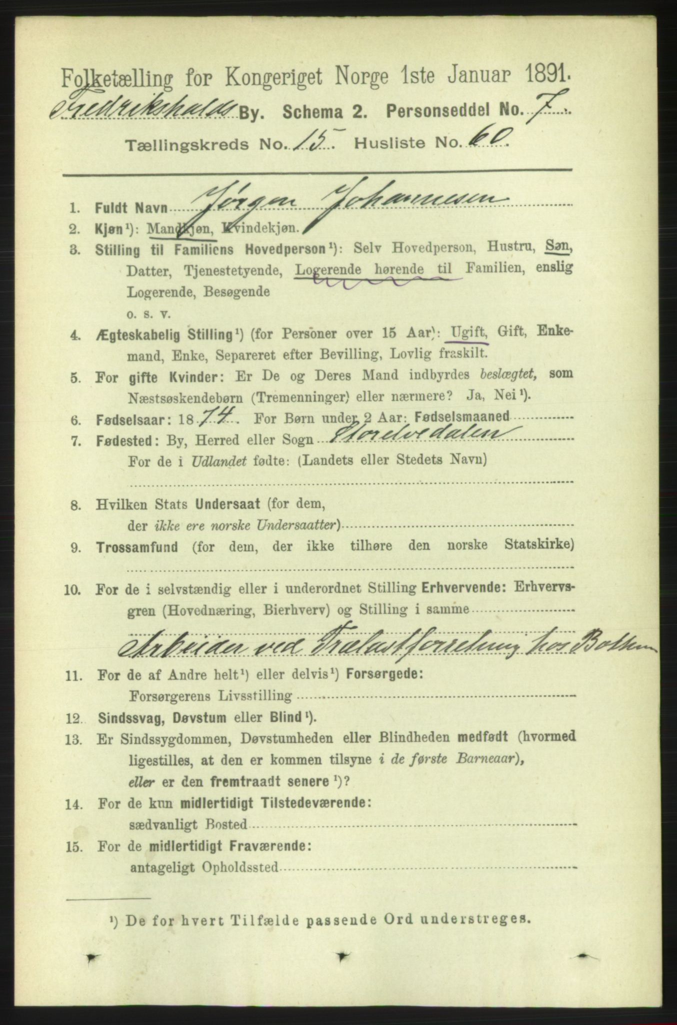 RA, 1891 census for 0101 Fredrikshald, 1891, p. 10132