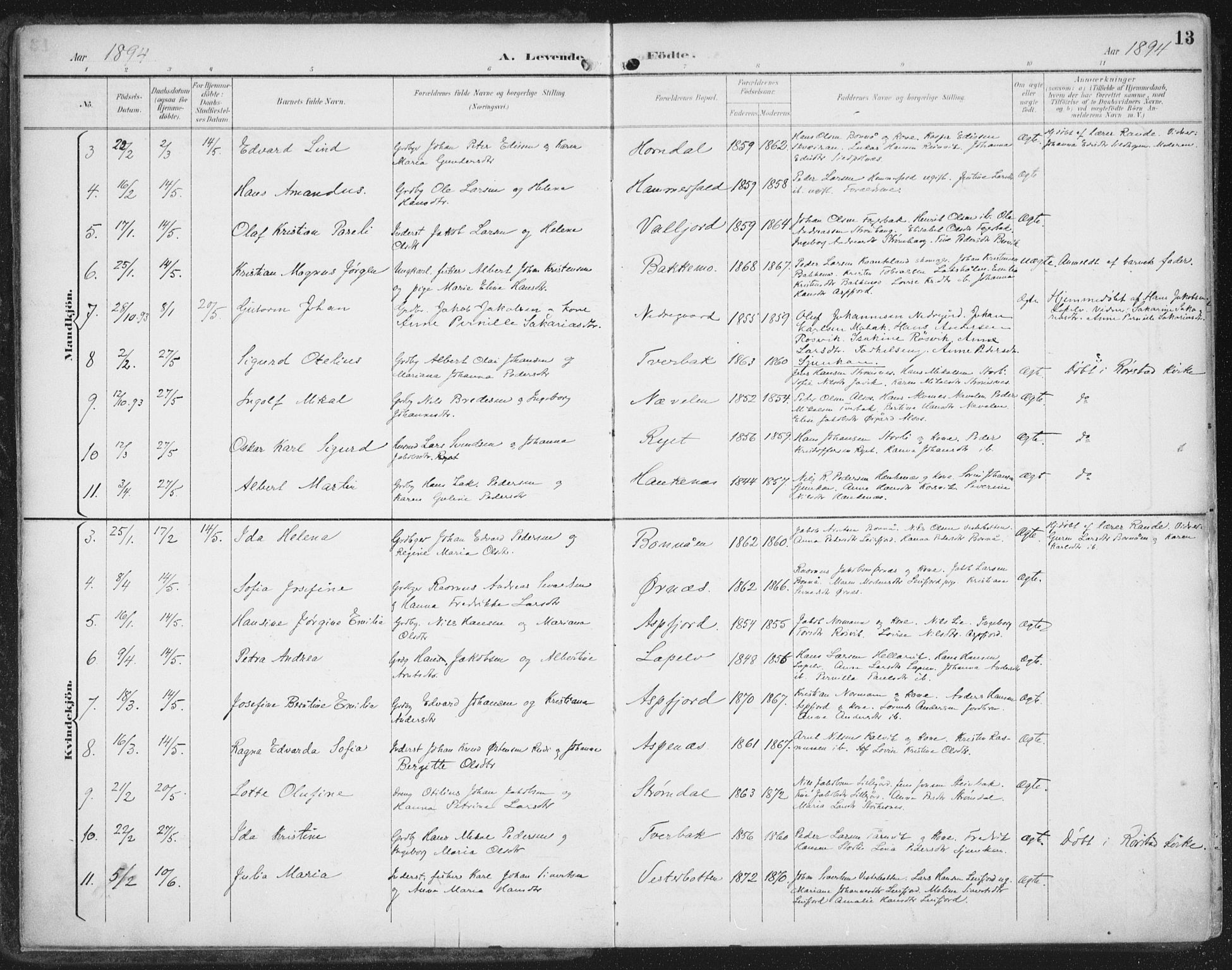 Ministerialprotokoller, klokkerbøker og fødselsregistre - Nordland, SAT/A-1459/854/L0779: Parish register (official) no. 854A02, 1892-1909, p. 13