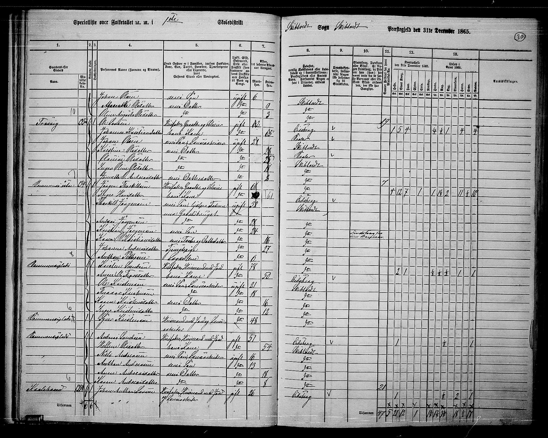 RA, 1865 census for Skiptvet, 1865, p. 29