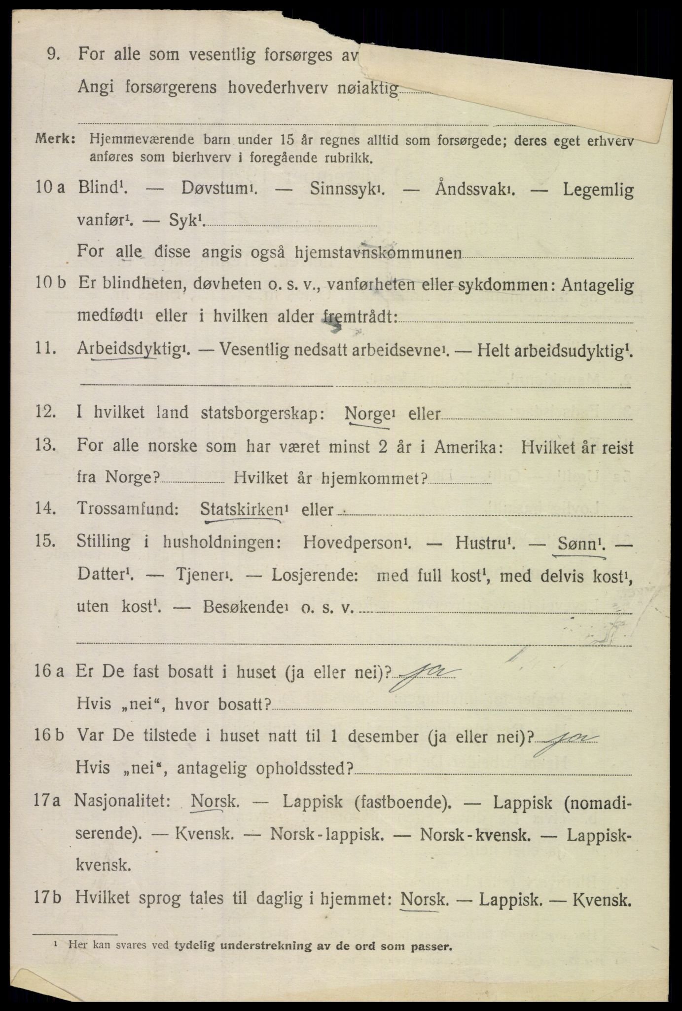 SAT, 1920 census for Tjeldsund, 1920, p. 3223