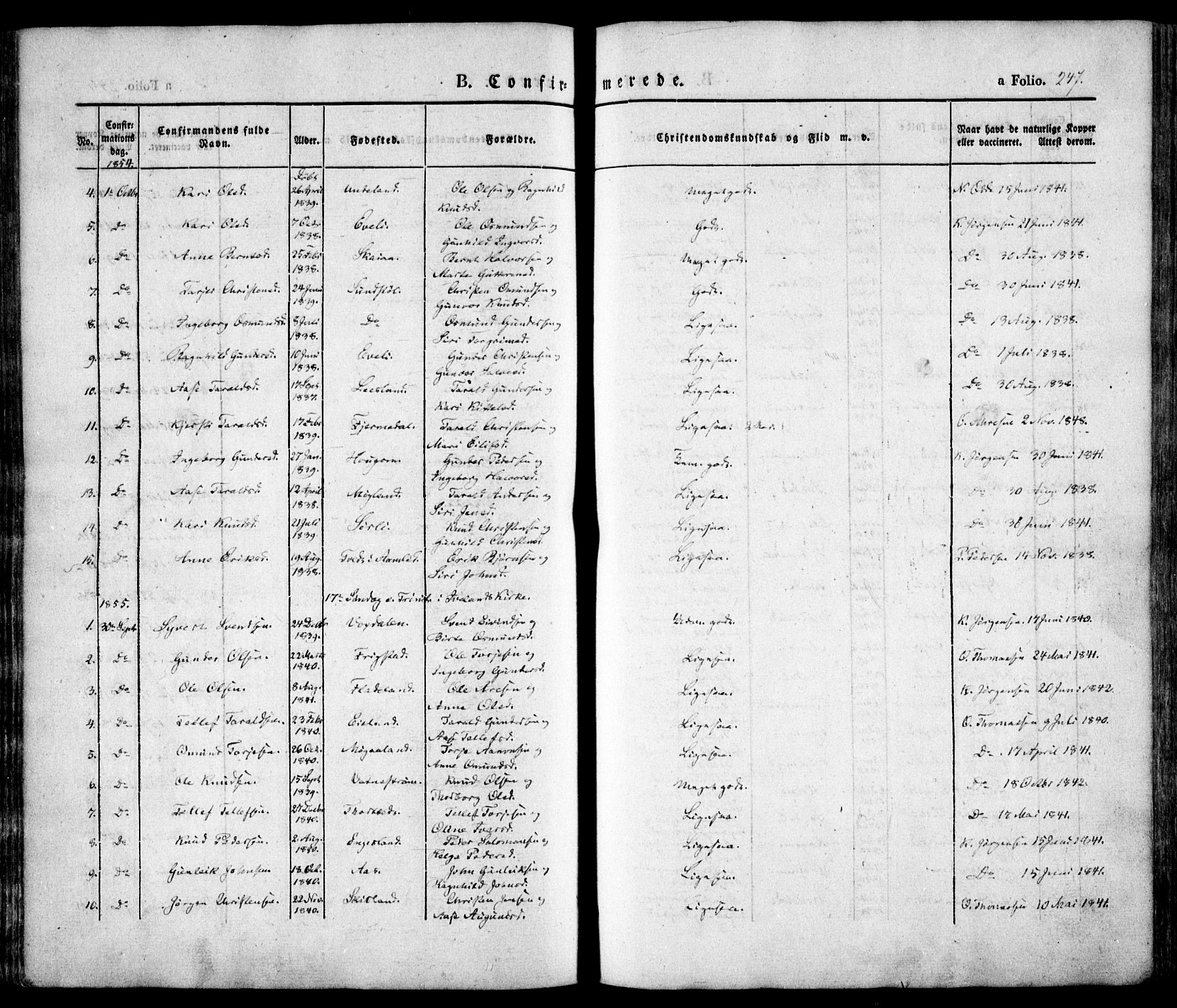 Evje sokneprestkontor, SAK/1111-0008/F/Fa/Faa/L0005: Parish register (official) no. A 5, 1843-1865, p. 247