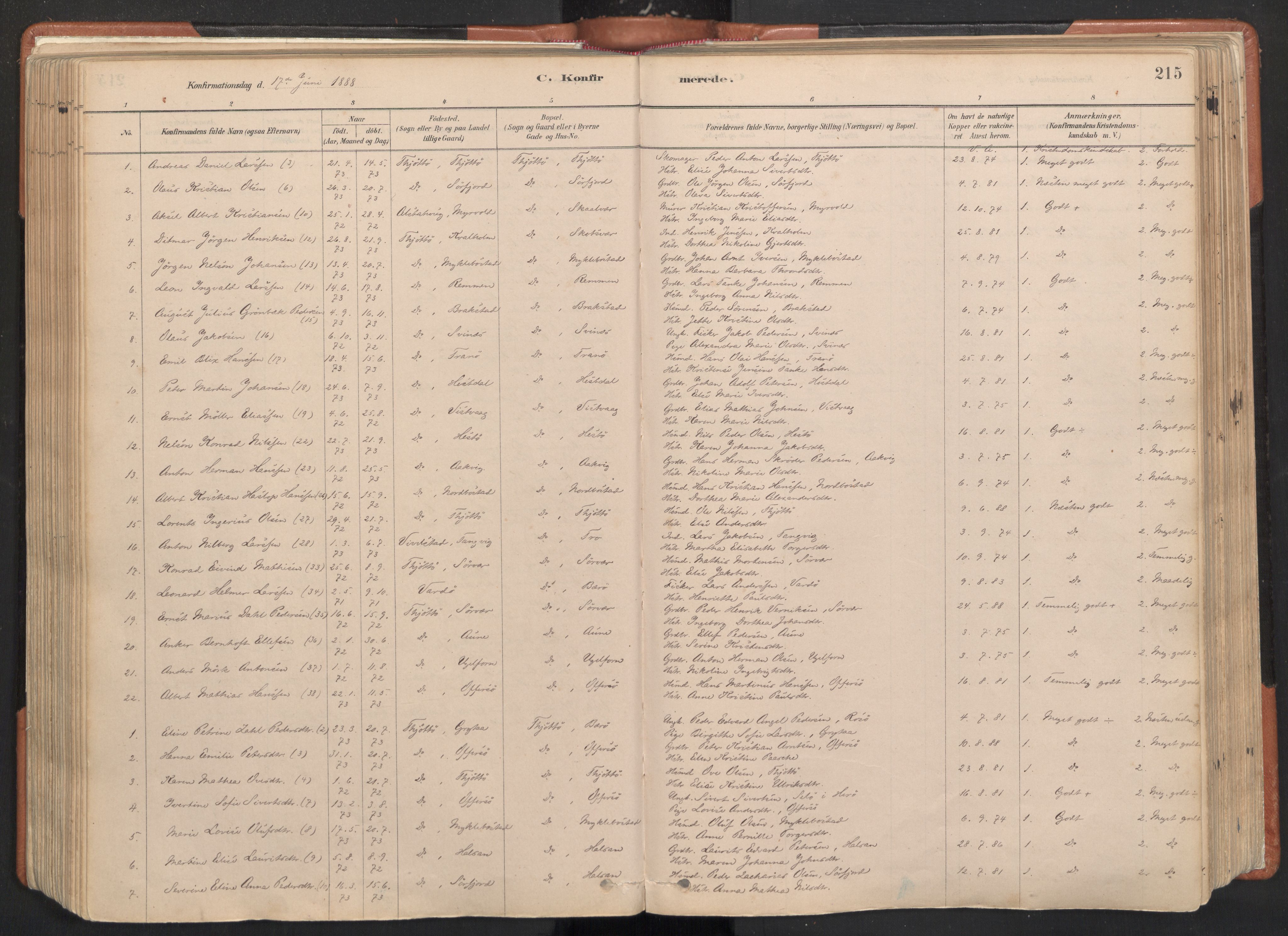 Ministerialprotokoller, klokkerbøker og fødselsregistre - Nordland, SAT/A-1459/817/L0264: Parish register (official) no. 817A04, 1878-1907, p. 215