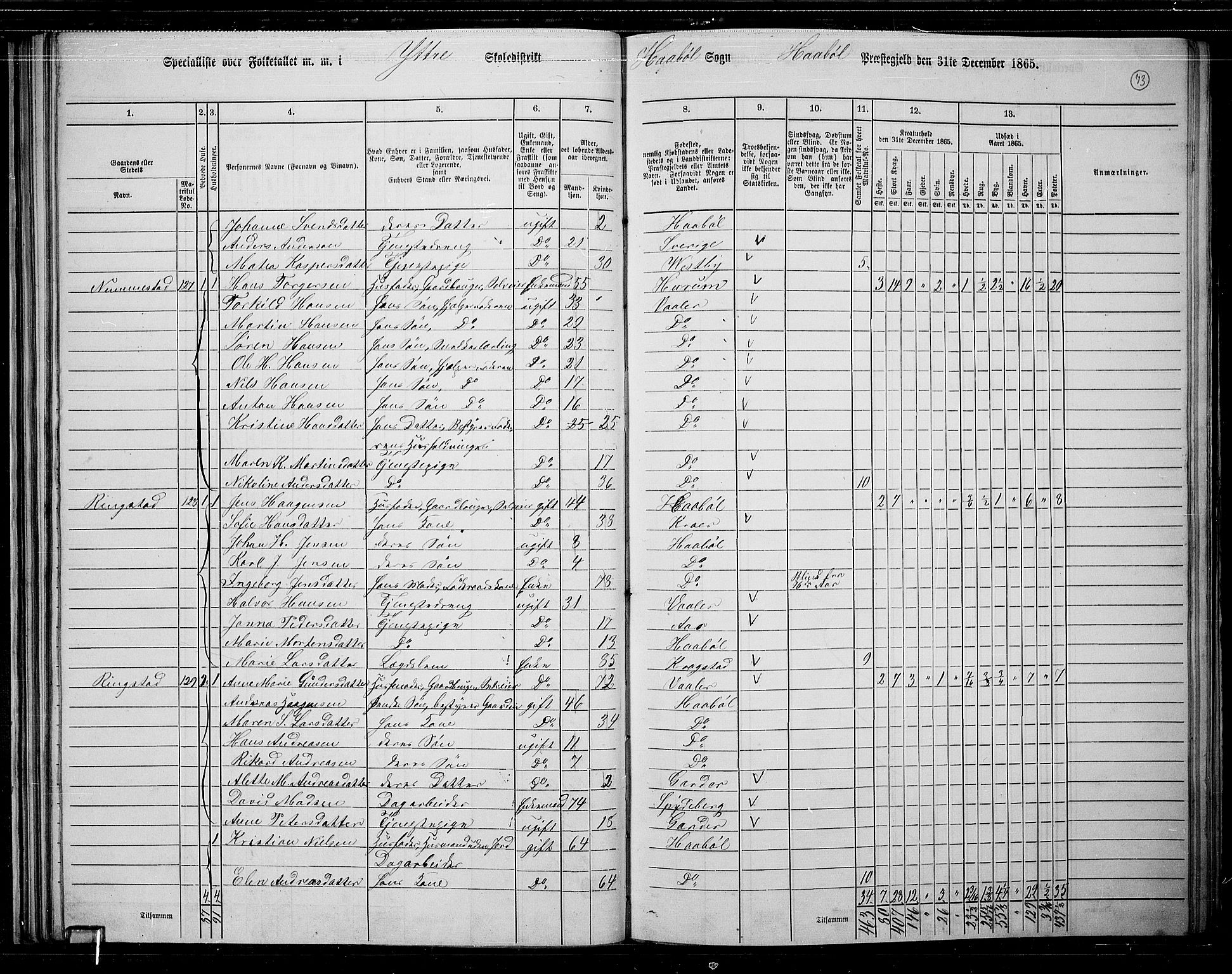 RA, 1865 census for Hobøl, 1865, p. 64