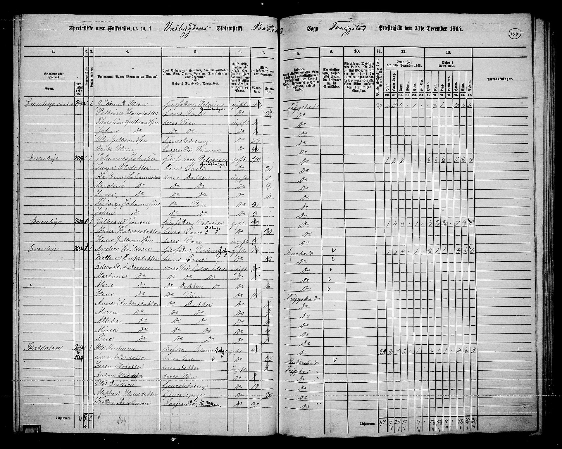 RA, 1865 census for Trøgstad, 1865, p. 149