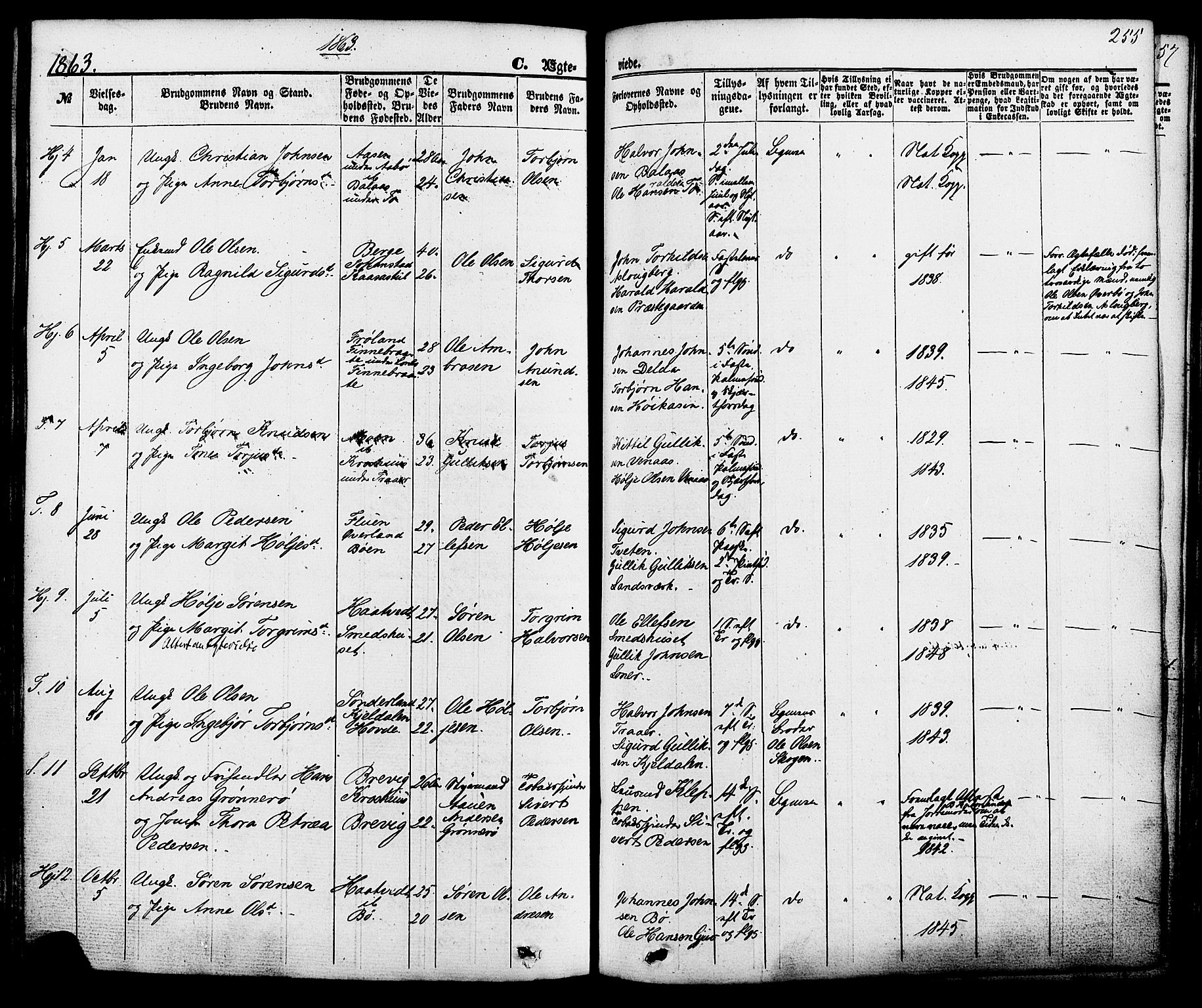 Hjartdal kirkebøker, SAKO/A-270/F/Fa/L0009: Parish register (official) no. I 9, 1860-1879, p. 255
