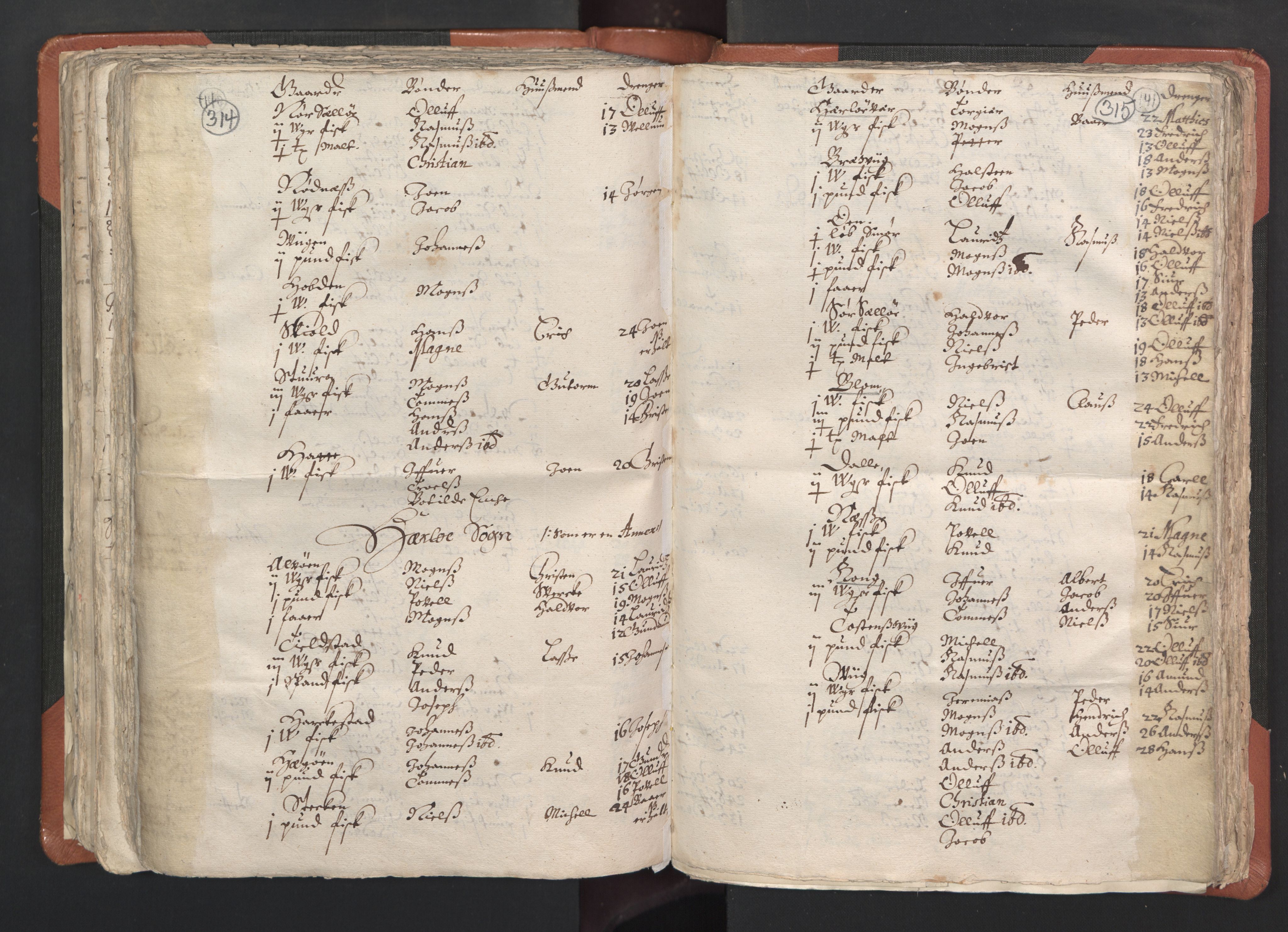 RA, Vicar's Census 1664-1666, no. 22: Nordhordland deanery, 1664-1666, p. 314-315