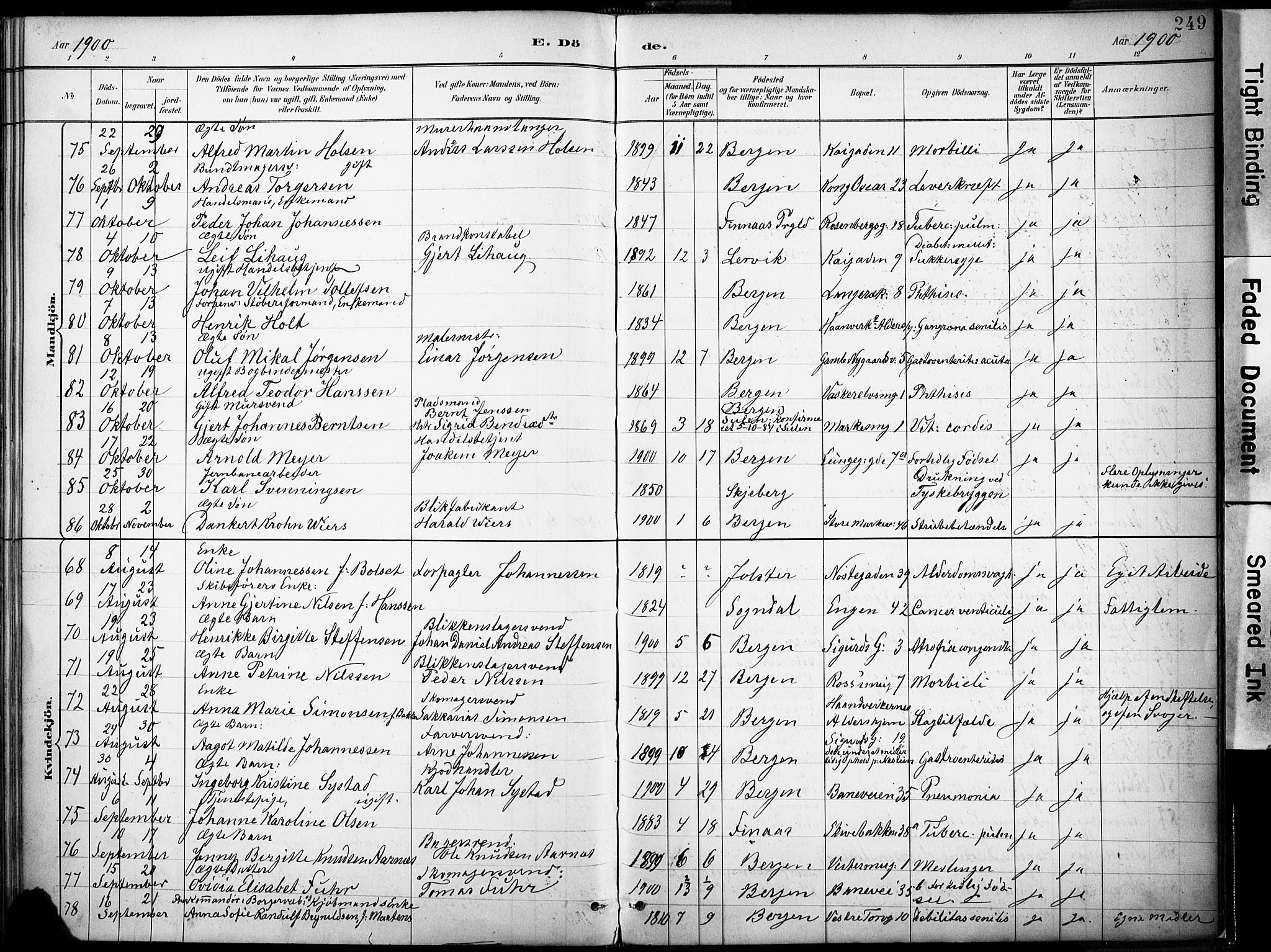 Domkirken sokneprestembete, AV/SAB-A-74801/H/Haa/L0043: Parish register (official) no. E 5, 1882-1904, p. 249