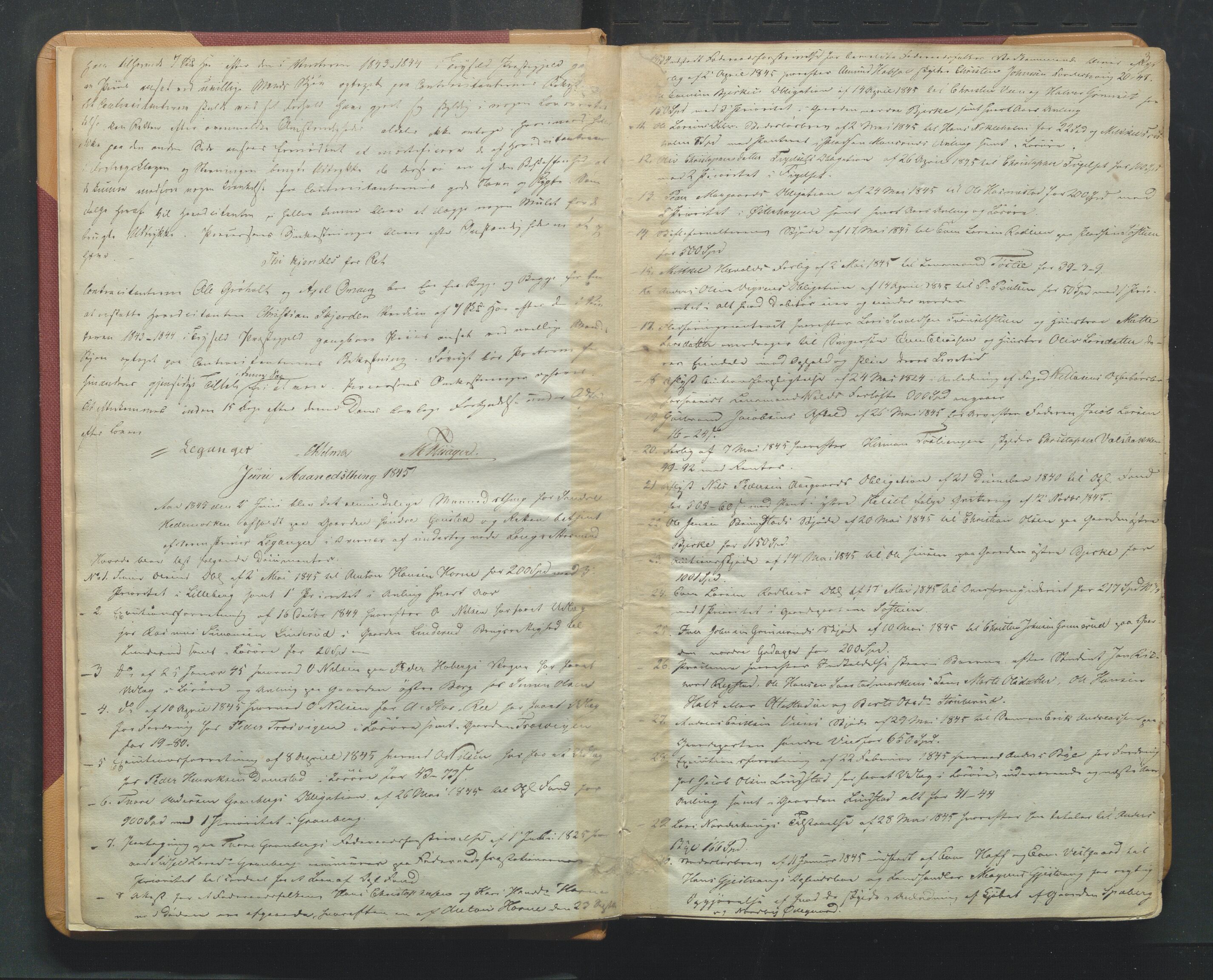 Sør-Hedmark sorenskriveri, AV/SAH-TING-014/G/Gb/Gba/L0006A: Tingbok, 1845-1853, p. 2b-3a