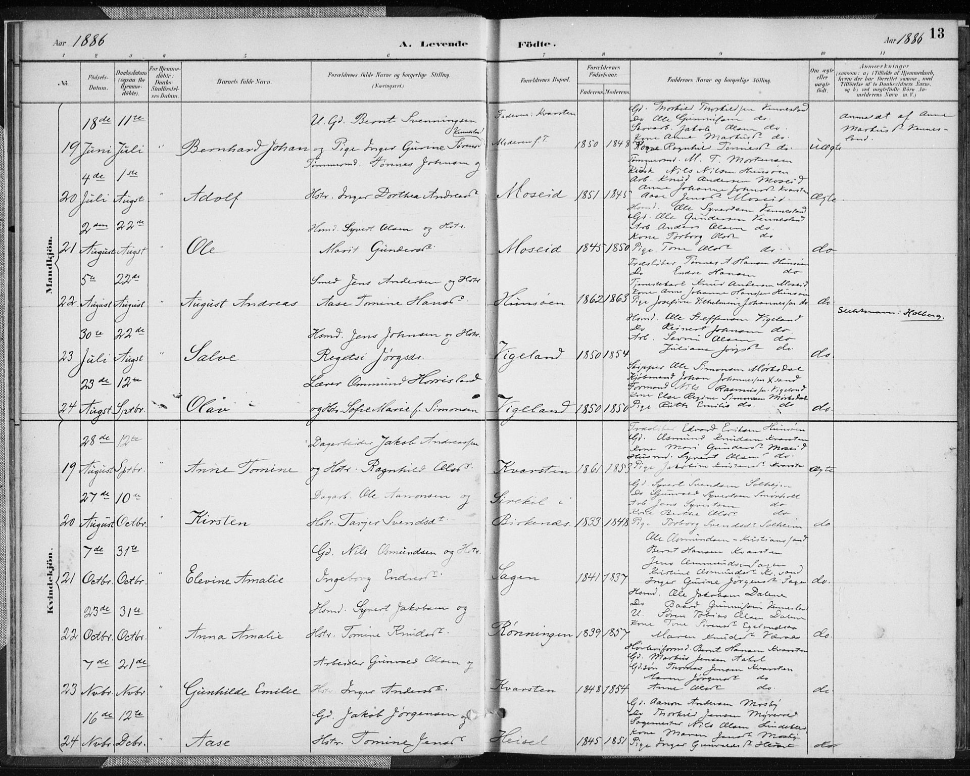 Vennesla sokneprestkontor, AV/SAK-1111-0045/Fa/Fab/L0004: Parish register (official) no. A 4, 1884-1896, p. 13