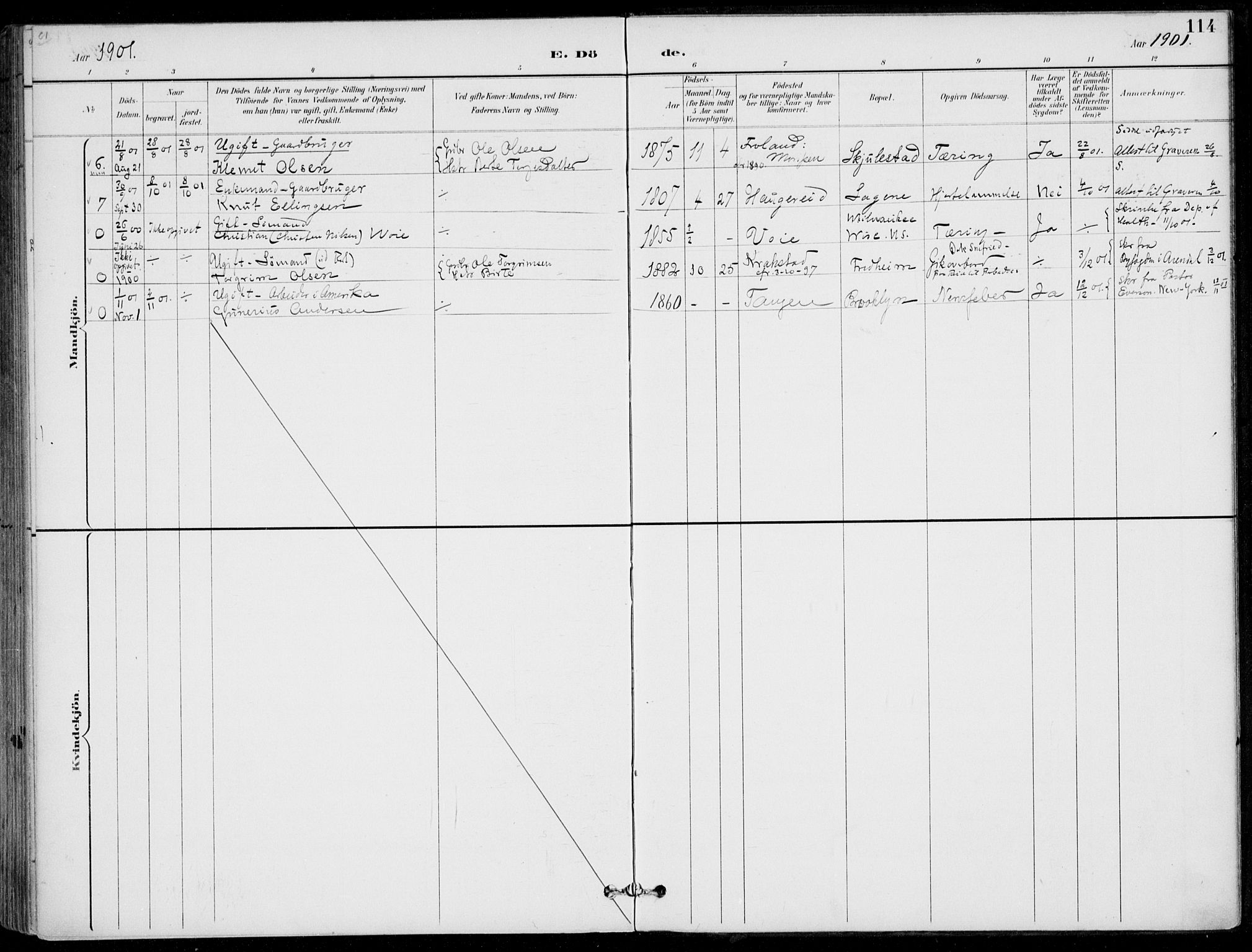 Austre Moland sokneprestkontor, SAK/1111-0001/F/Fa/Faa/L0011: Parish register (official) no. A 11, 1894-1915, p. 114