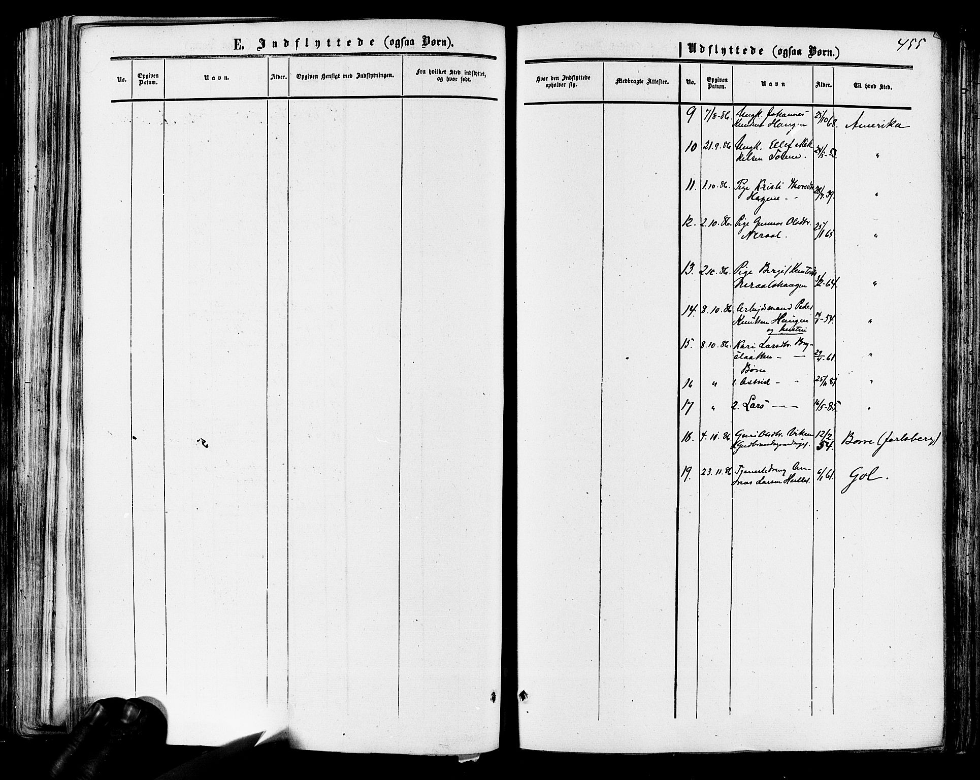 Hol kirkebøker, SAKO/A-227/F/Fa/L0002: Parish register (official) no. I 2, 1870-1886, p. 455