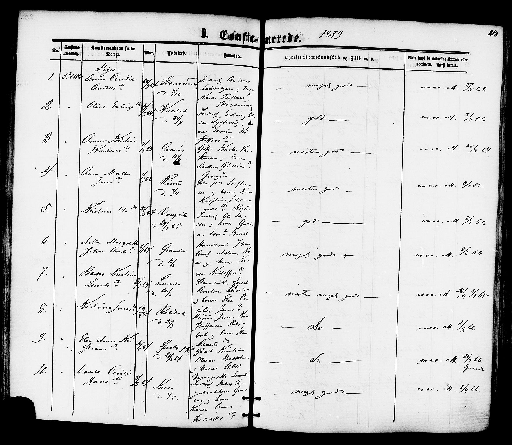 Ministerialprotokoller, klokkerbøker og fødselsregistre - Nord-Trøndelag, AV/SAT-A-1458/701/L0009: Parish register (official) no. 701A09 /1, 1864-1882, p. 213