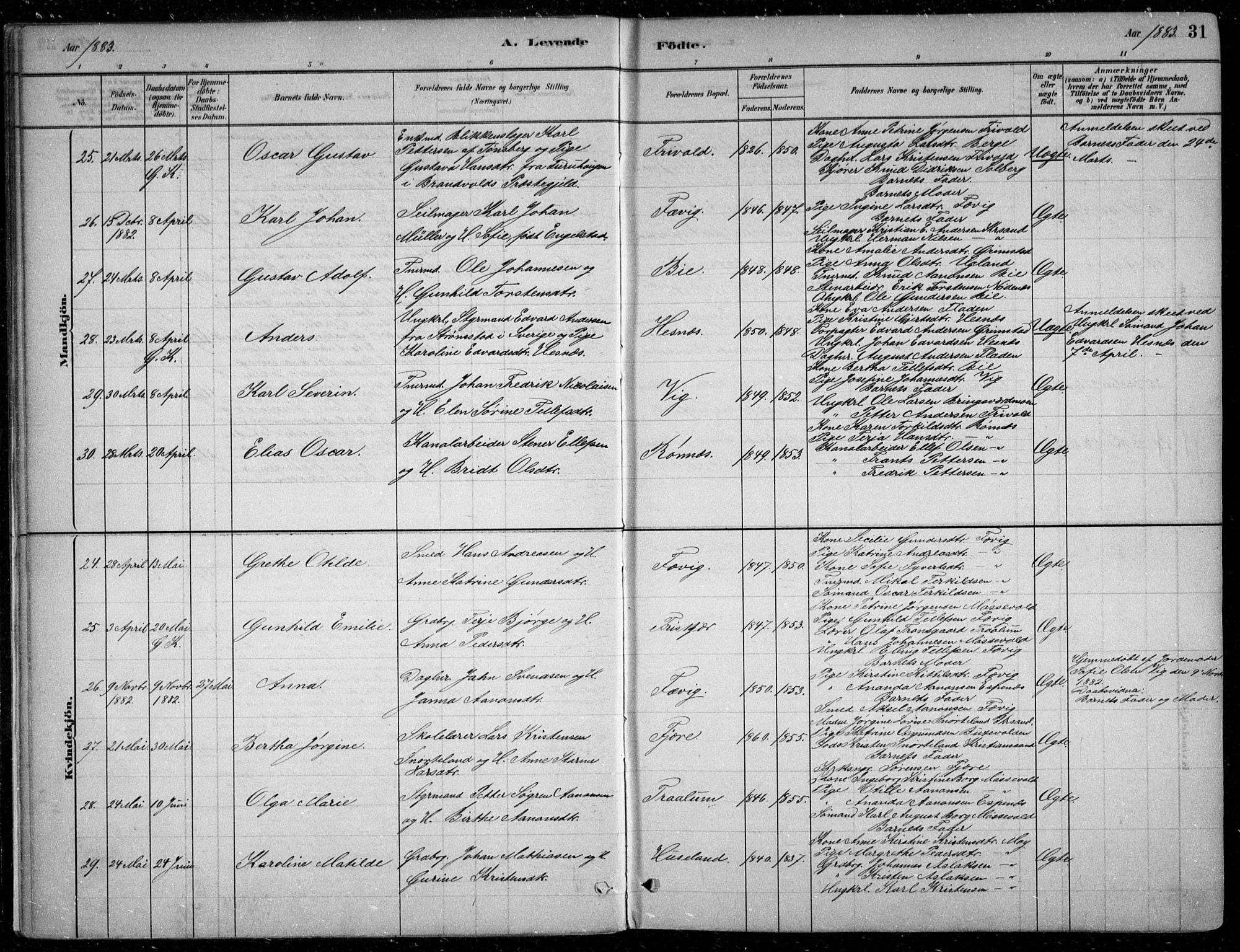 Fjære sokneprestkontor, AV/SAK-1111-0011/F/Fb/L0011: Parish register (copy) no. B 11, 1881-1905, p. 31
