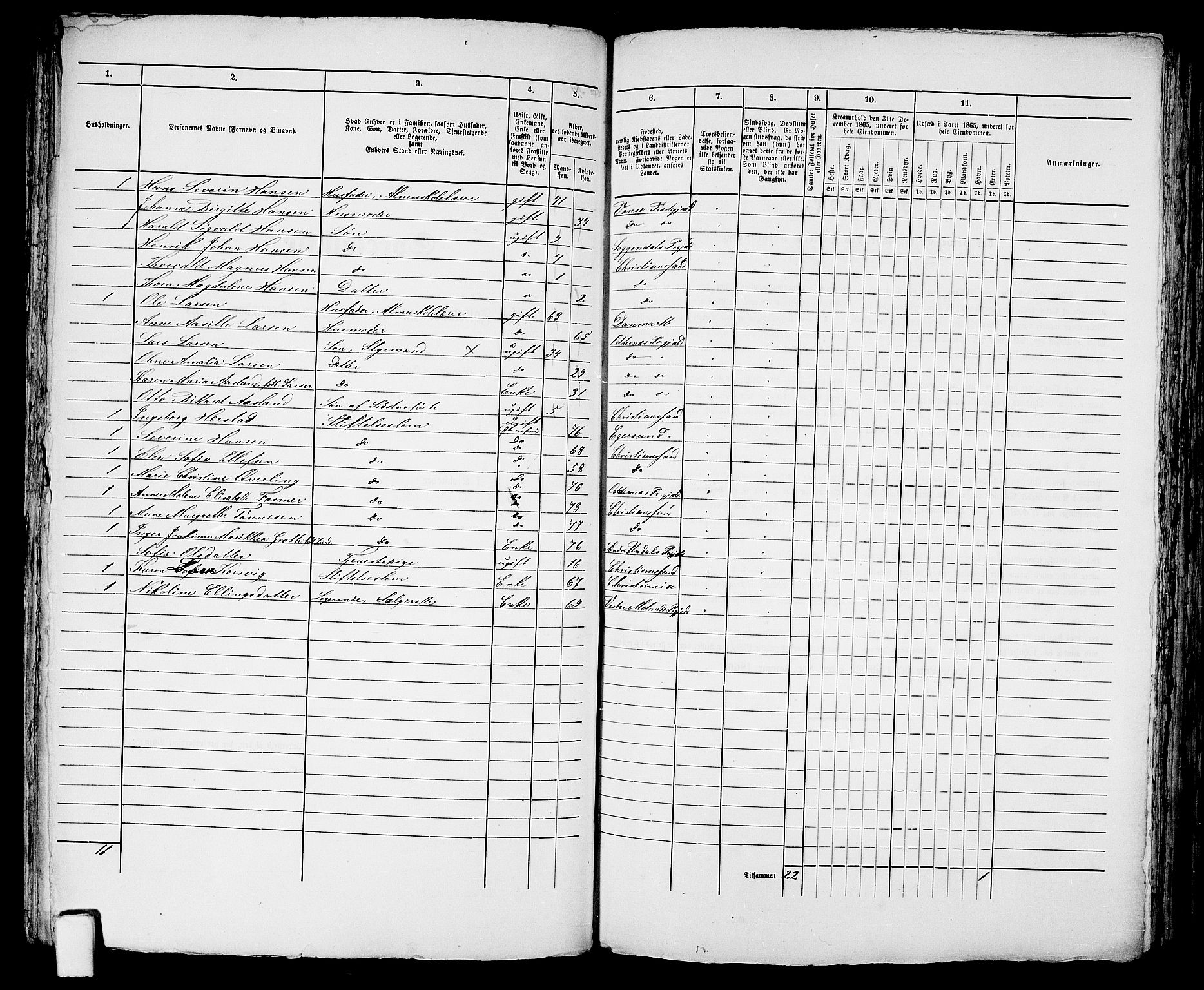 RA, 1865 census for Kristiansand, 1865, p. 214