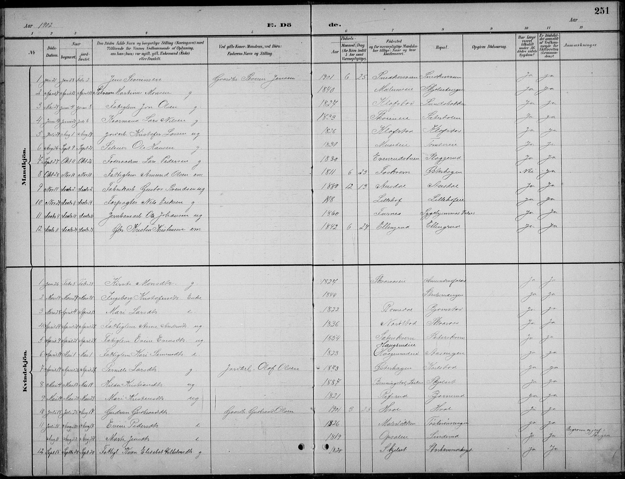 Romedal prestekontor, SAH/PREST-004/L/L0013: Parish register (copy) no. 13, 1896-1937, p. 251