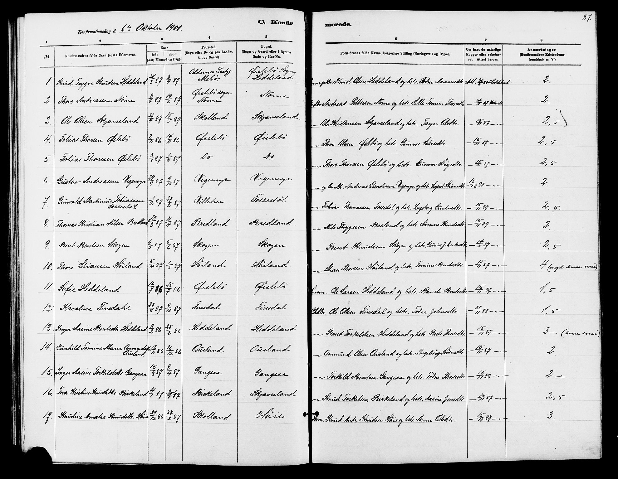 Holum sokneprestkontor, SAK/1111-0022/F/Fb/Fbc/L0003: Parish register (copy) no. B 3, 1882-1908, p. 87