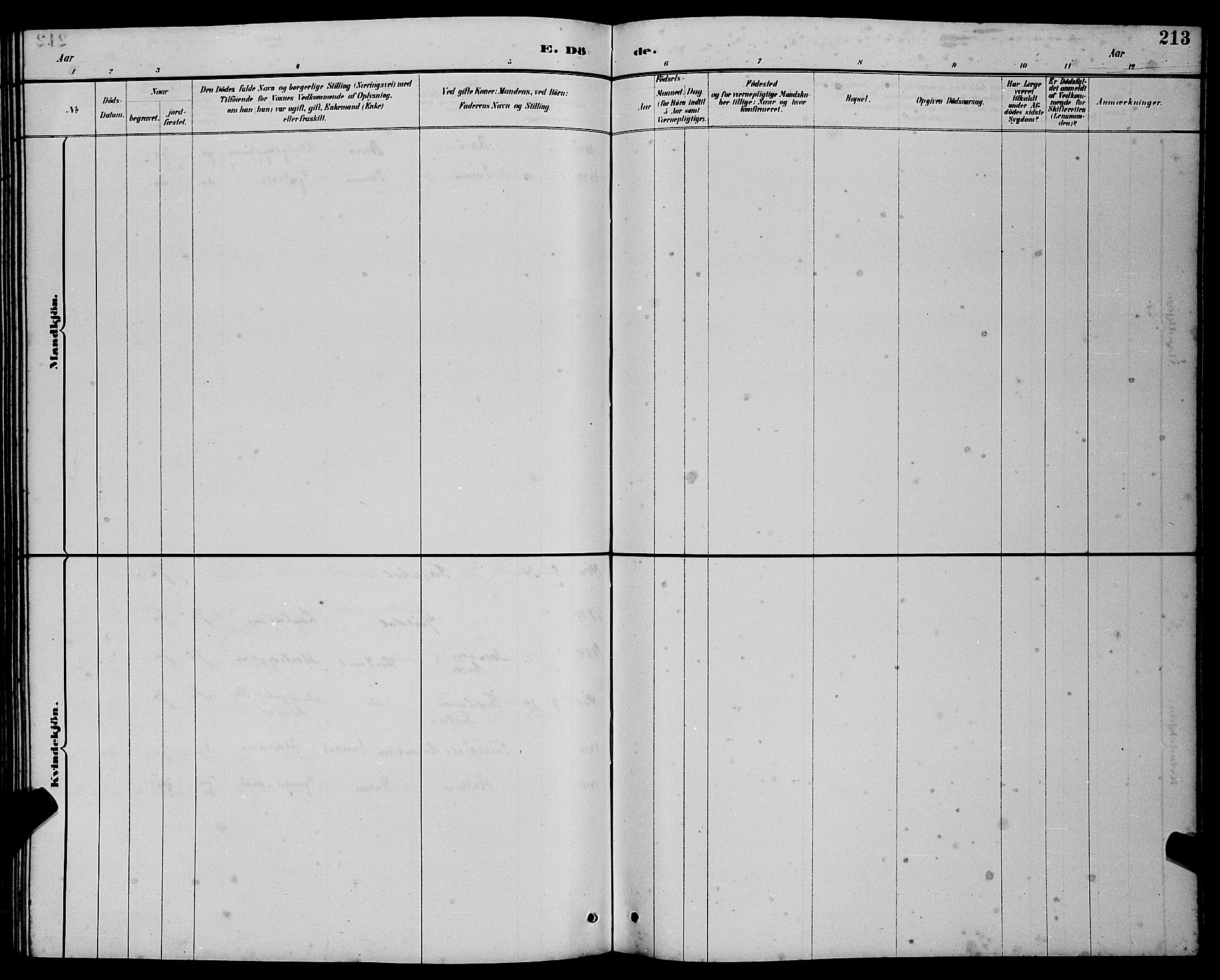 Ministerialprotokoller, klokkerbøker og fødselsregistre - Møre og Romsdal, AV/SAT-A-1454/501/L0017: Parish register (copy) no. 501C03, 1885-1901, p. 213