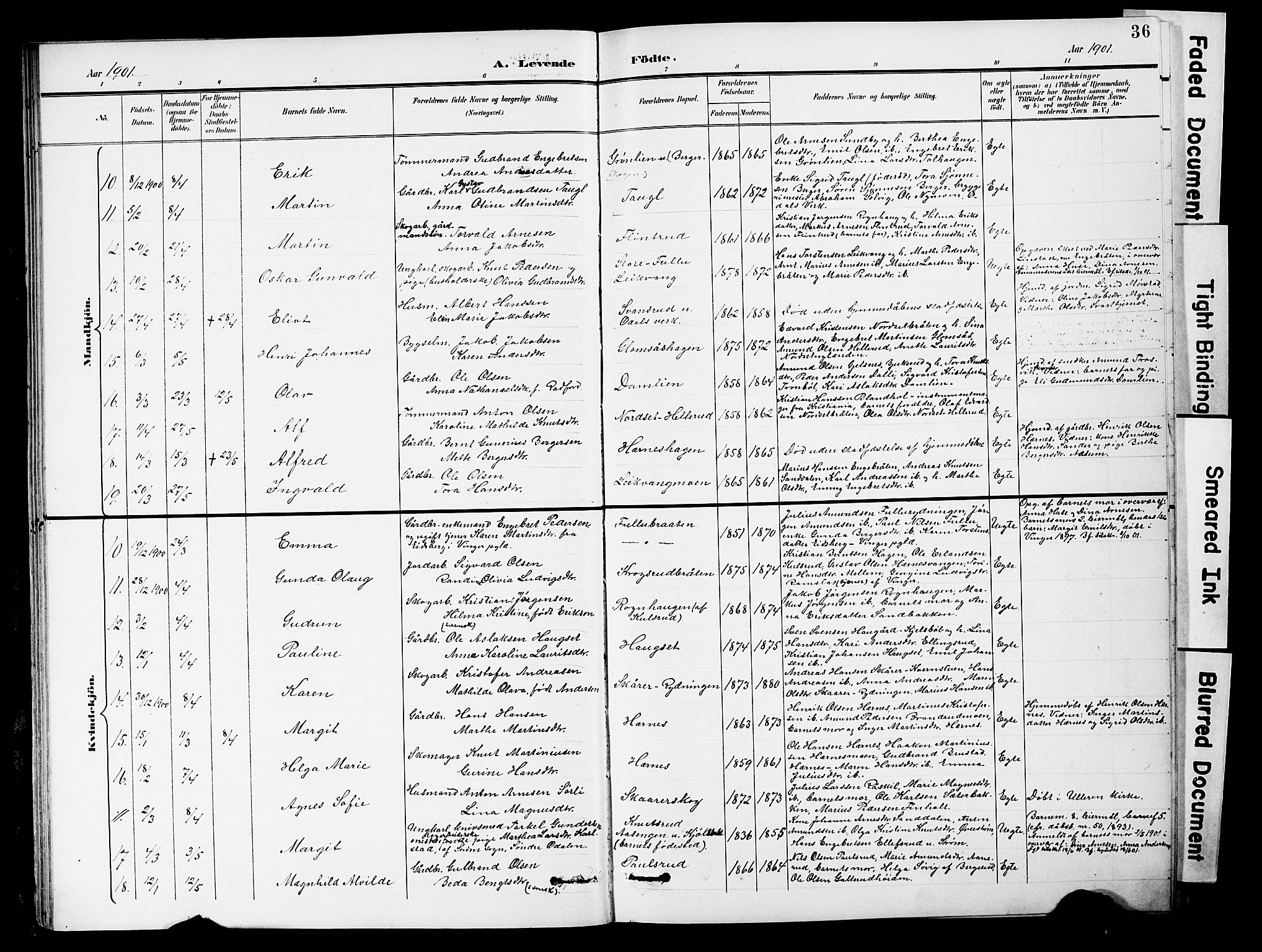 Sør-Odal prestekontor, SAH/PREST-030/H/Ha/Hab/L0001: Parish register (copy) no. 1, 1895-1902, p. 36