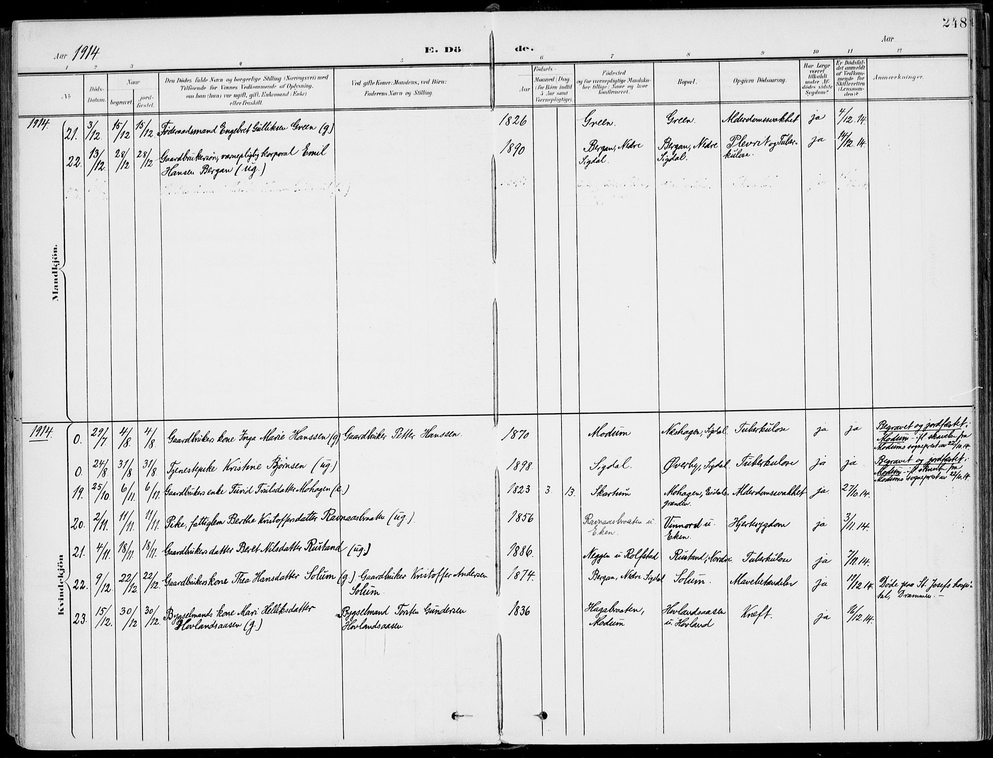 Sigdal kirkebøker, AV/SAKO-A-245/F/Fb/L0002: Parish register (official) no. II 2, 1901-1914, p. 248