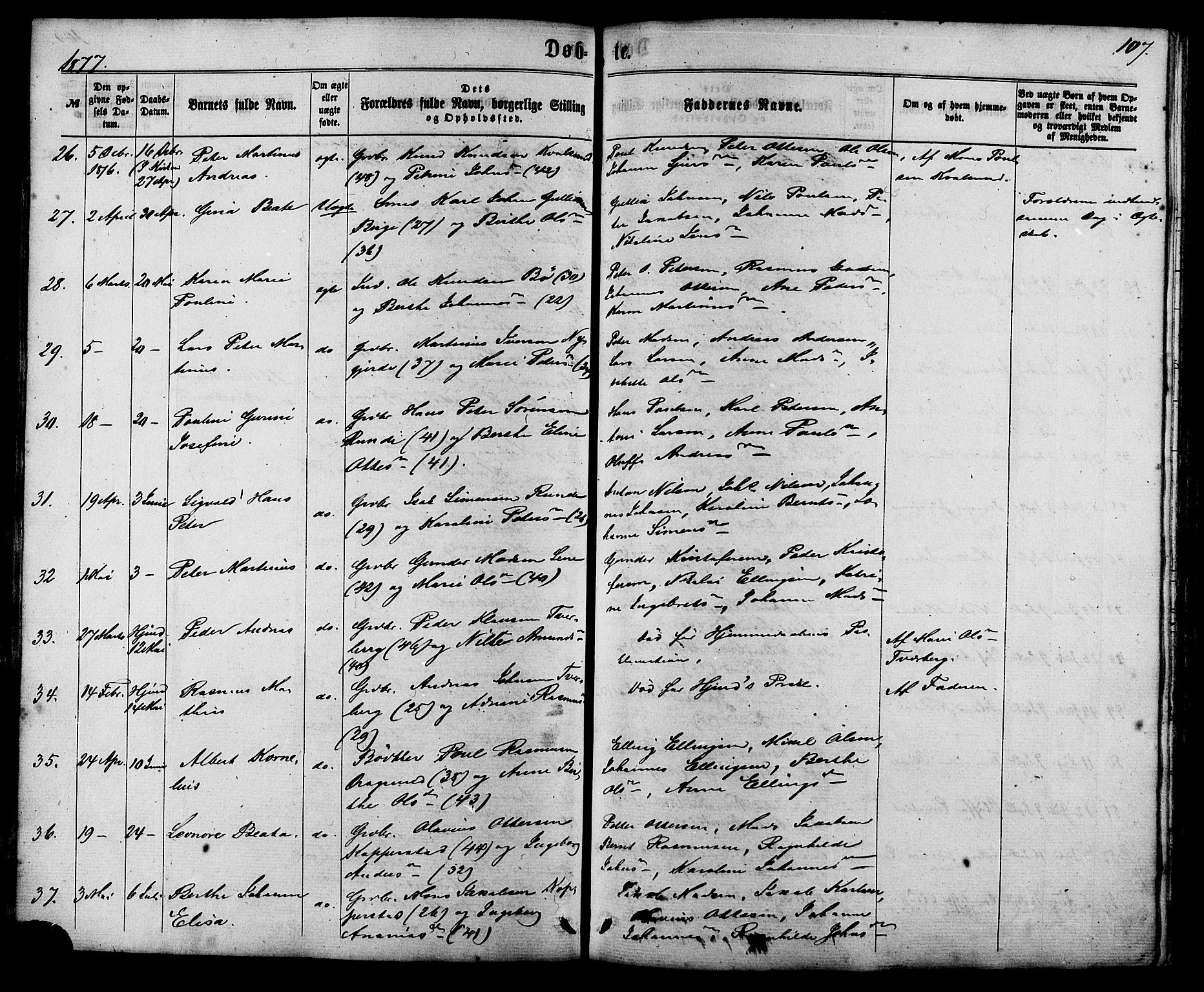 Ministerialprotokoller, klokkerbøker og fødselsregistre - Møre og Romsdal, AV/SAT-A-1454/507/L0071: Parish register (official) no. 507A06, 1863-1878, p. 107