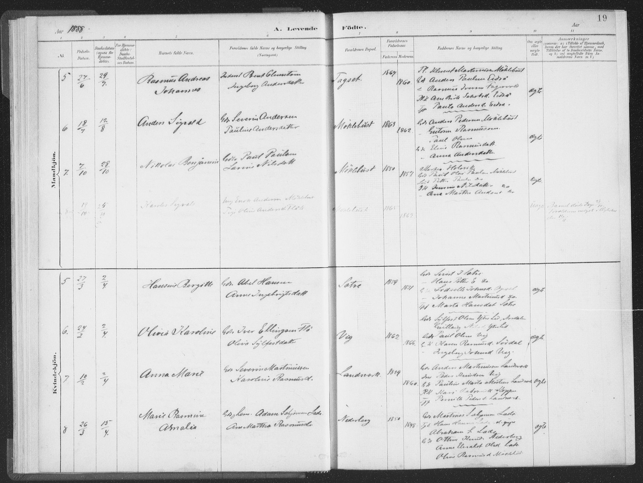 Ministerialprotokoller, klokkerbøker og fødselsregistre - Møre og Romsdal, AV/SAT-A-1454/502/L0025: Parish register (official) no. 502A03, 1885-1909, p. 19