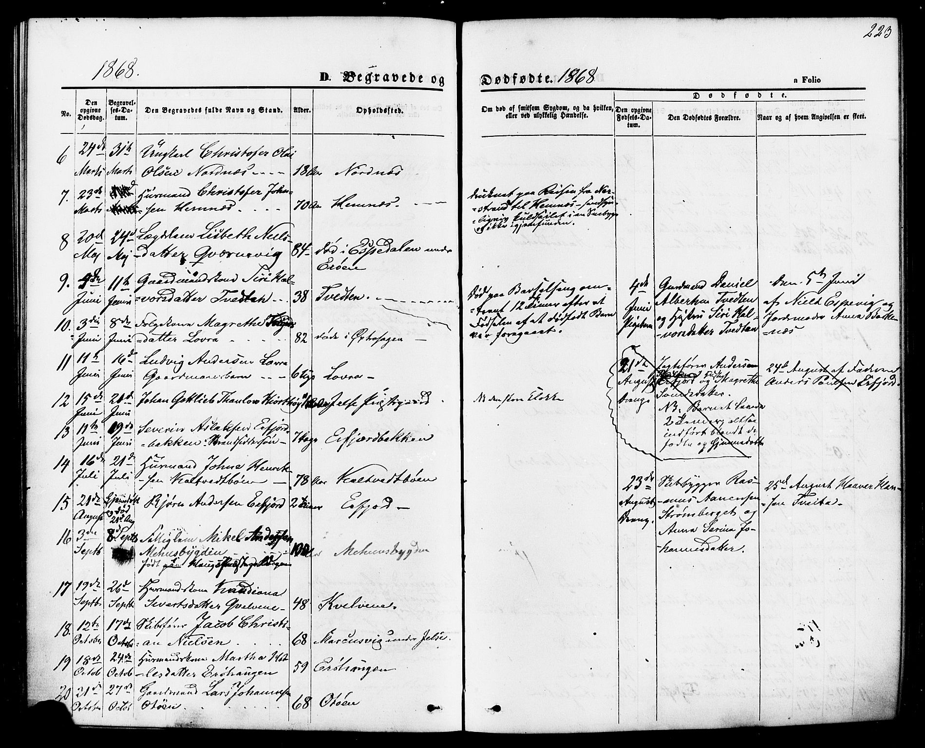 Jelsa sokneprestkontor, AV/SAST-A-101842/01/IV: Parish register (official) no. A 8, 1867-1883, p. 223