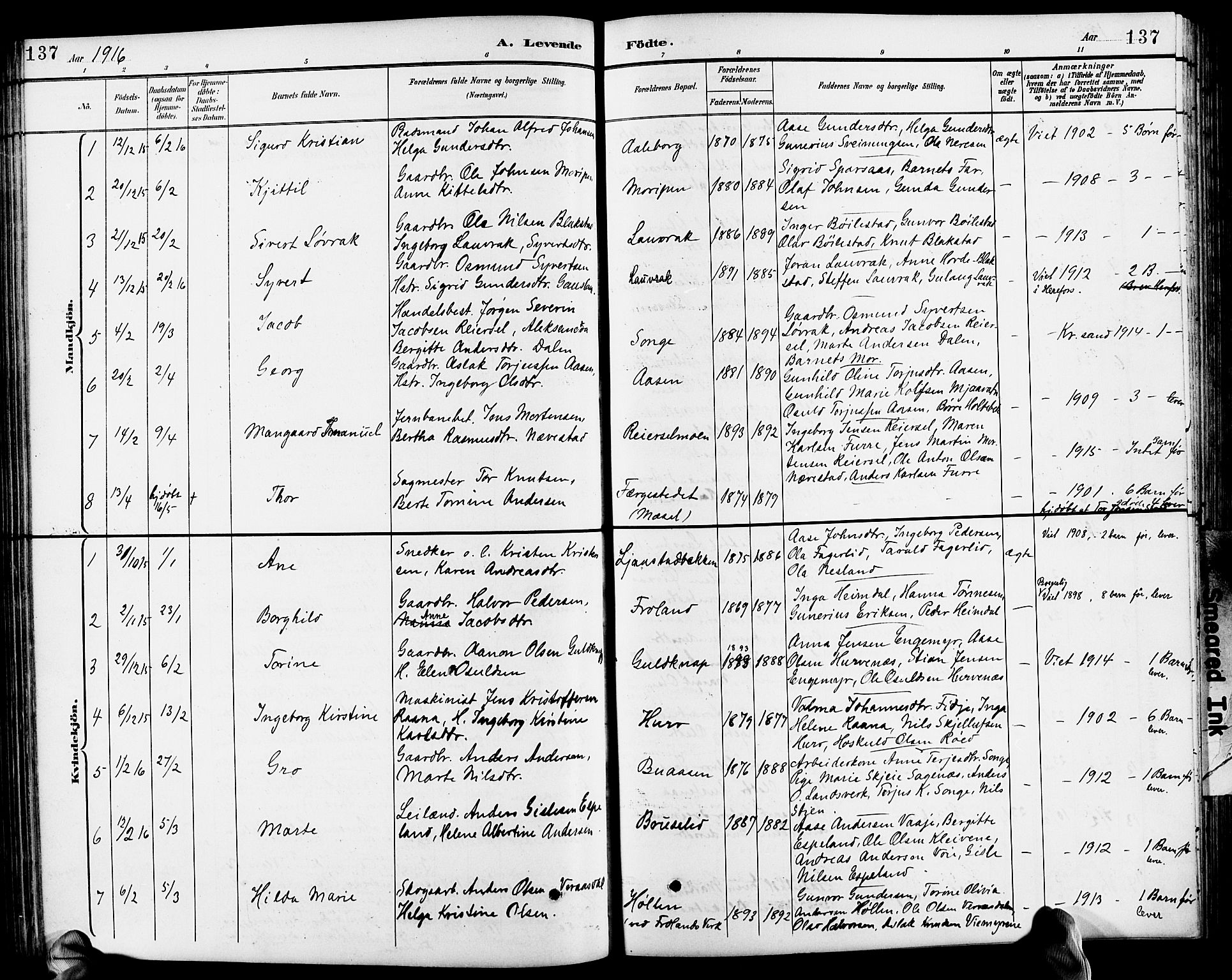Froland sokneprestkontor, SAK/1111-0013/F/Fb/L0010: Parish register (copy) no. B 10, 1893-1920, p. 137