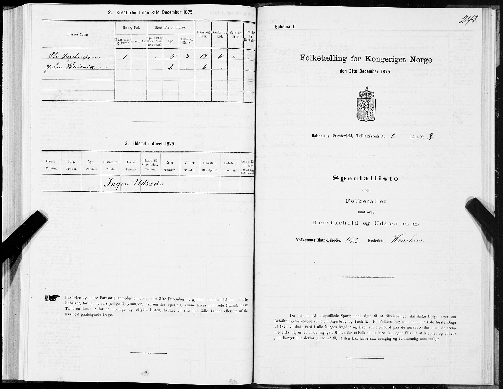 SAT, 1875 census for 1645P Haltdalen, 1875, p. 5243