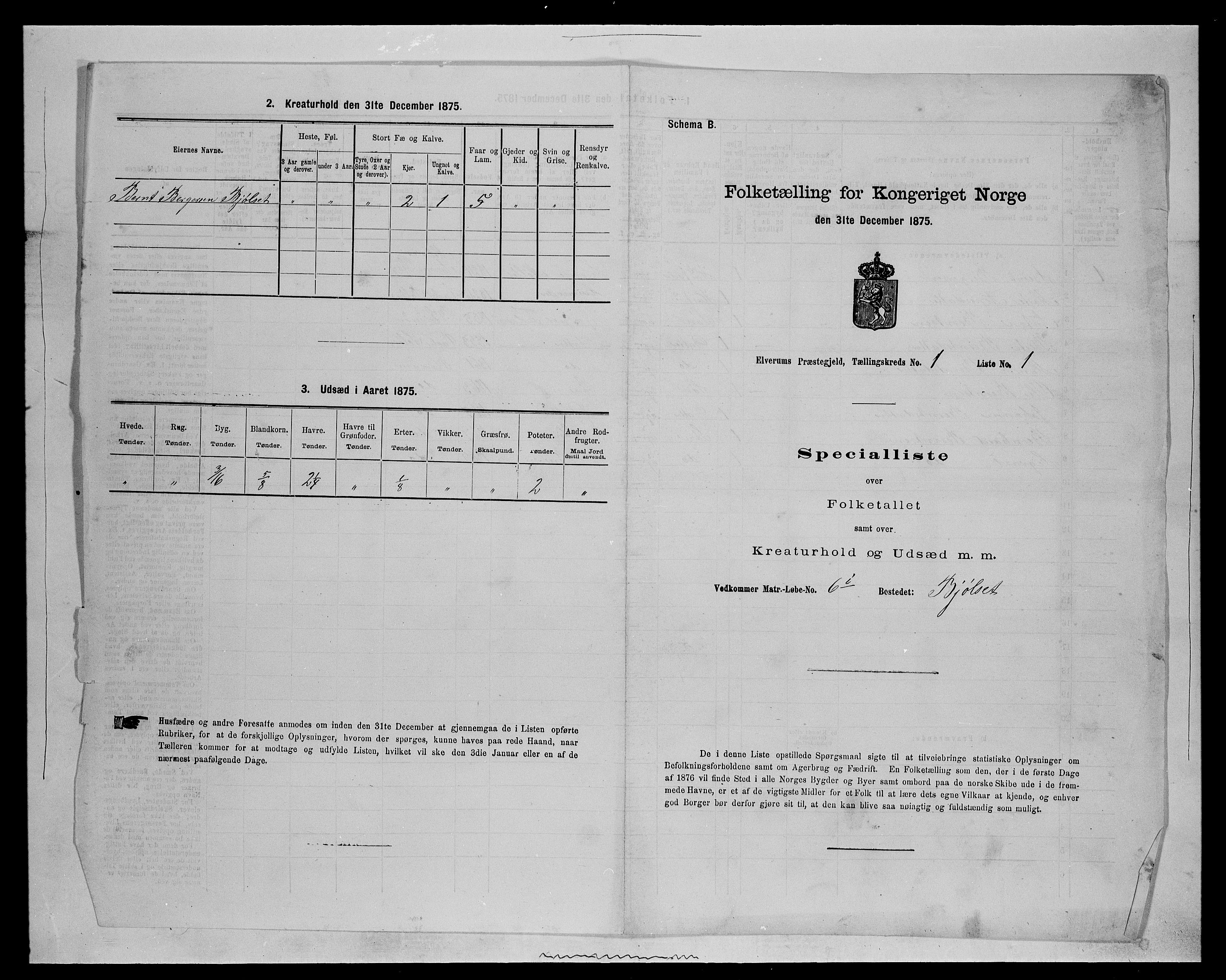 SAH, 1875 census for 0427P Elverum, 1875, p. 234