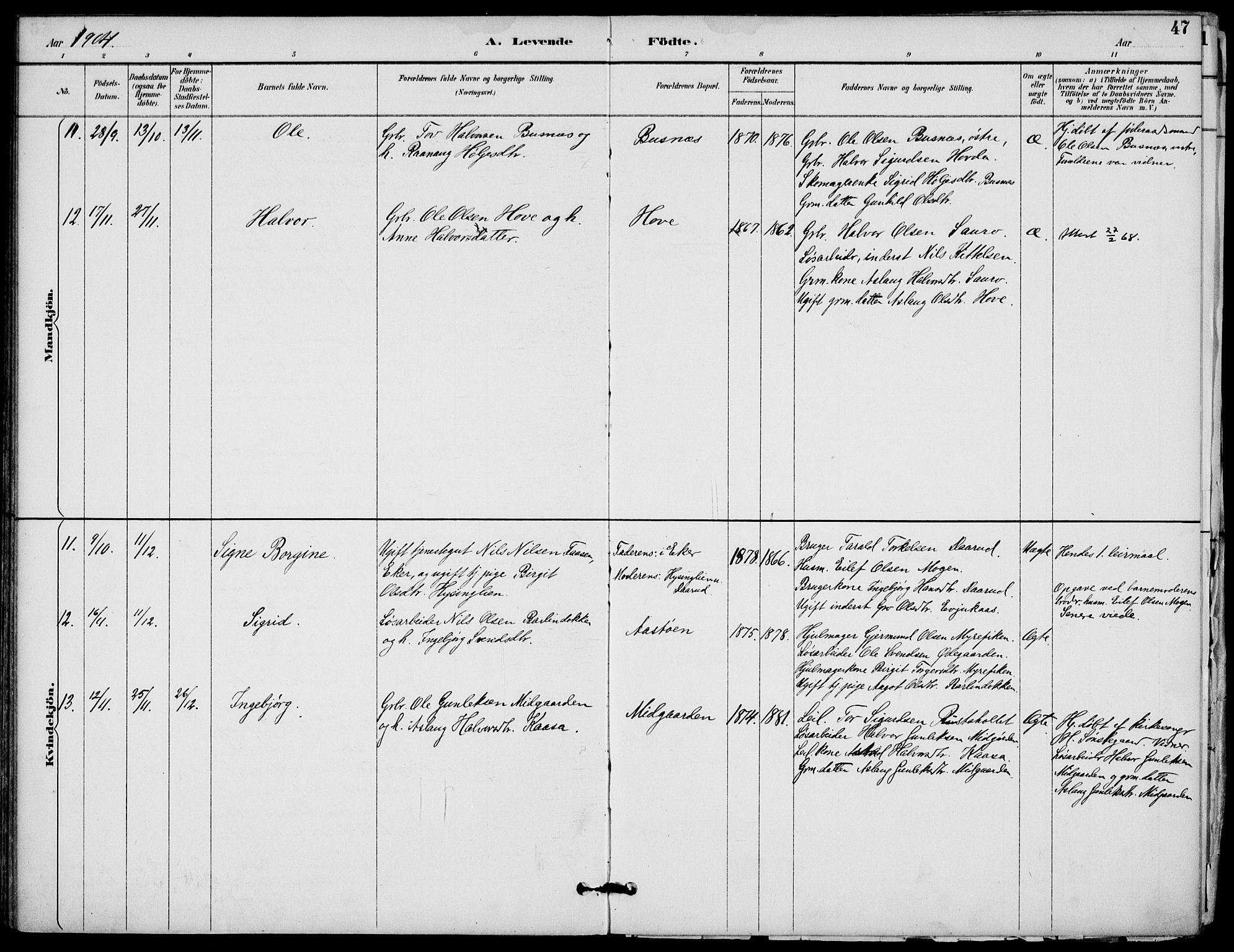 Gransherad kirkebøker, SAKO/A-267/F/Fb/L0005: Parish register (official) no. II 5, 1887-1916, p. 47