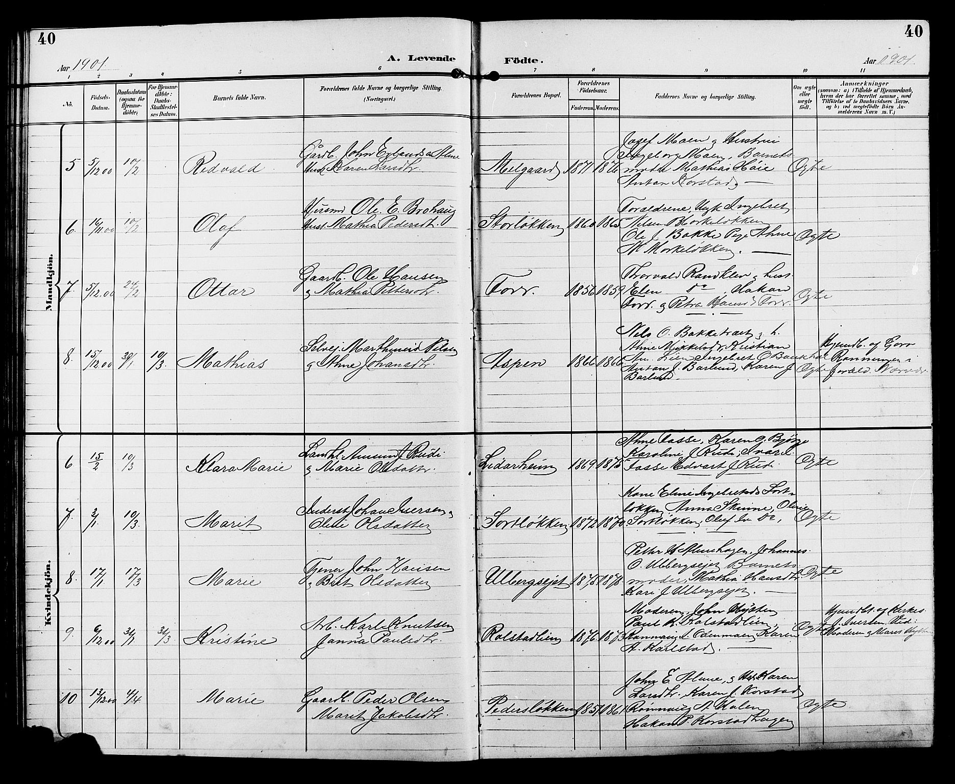 Sør-Fron prestekontor, SAH/PREST-010/H/Ha/Hab/L0004: Parish register (copy) no. 4, 1896-1911, p. 40