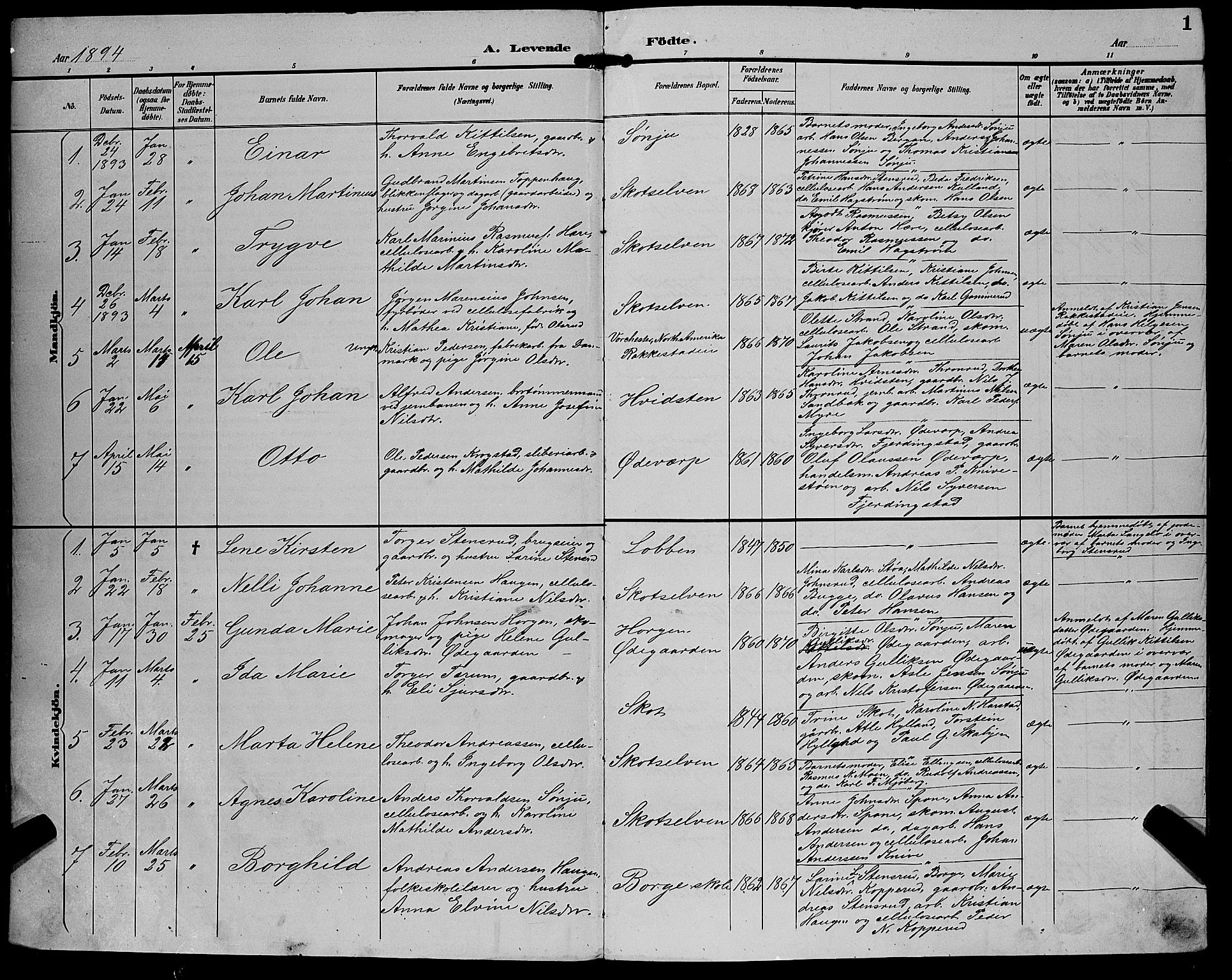 Eiker kirkebøker, AV/SAKO-A-4/G/Gb/L0004: Parish register (copy) no. II 4, 1894-1900, p. 1