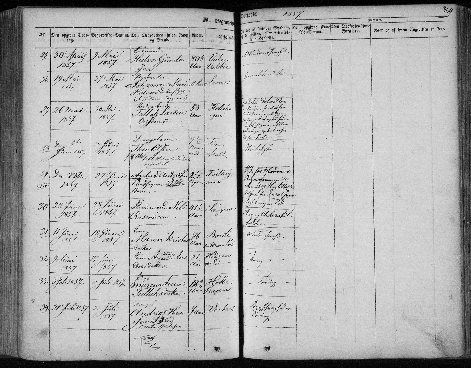 Holla kirkebøker, AV/SAKO-A-272/F/Fa/L0005: Parish register (official) no. 5, 1849-1860, p. 359