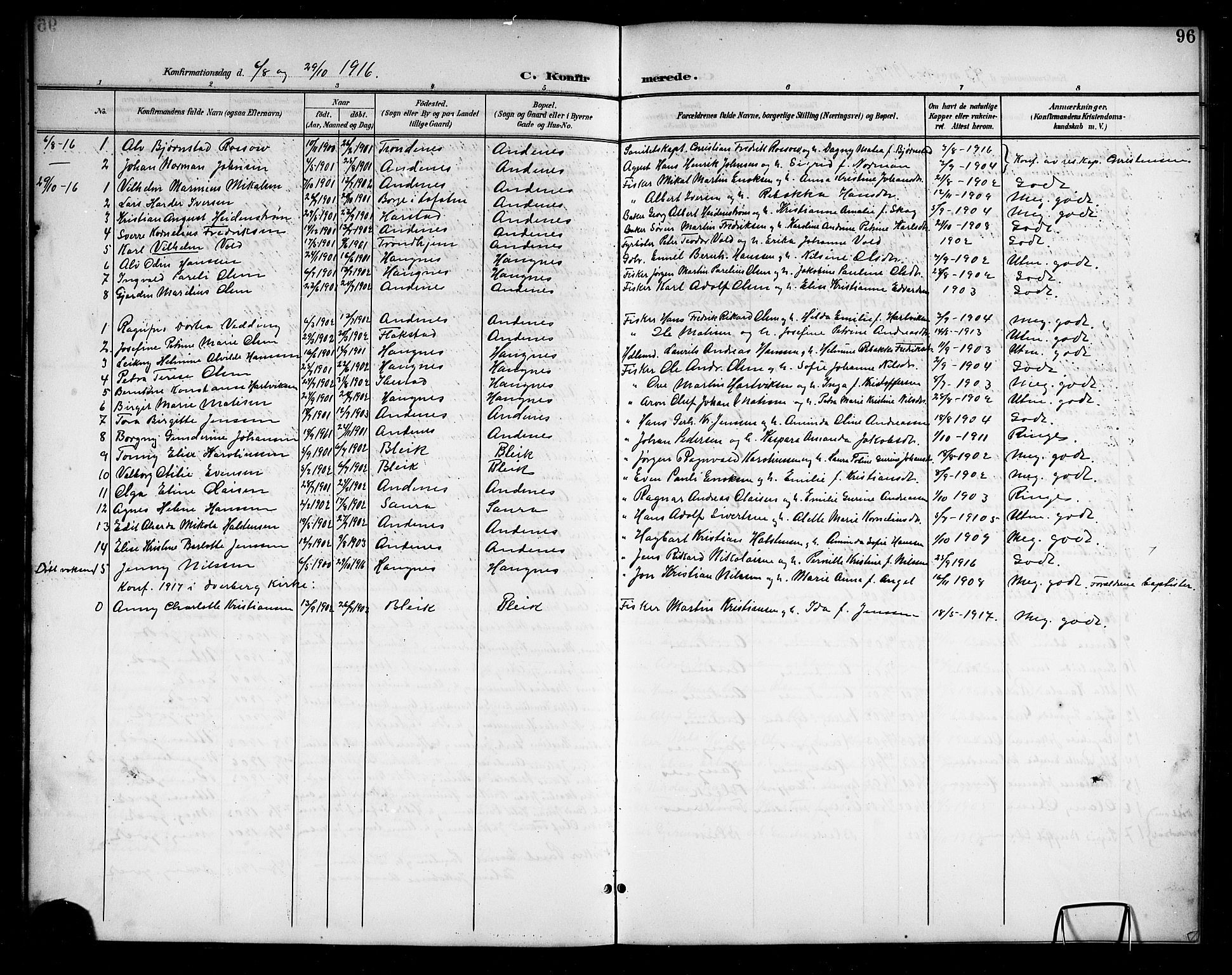 Ministerialprotokoller, klokkerbøker og fødselsregistre - Nordland, SAT/A-1459/899/L1449: Parish register (copy) no. 899C04, 1900-1918, p. 96