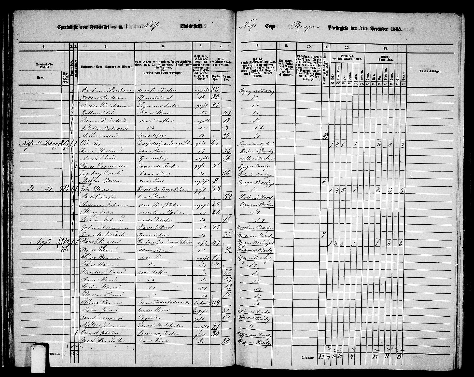 RA, 1865 census for Bjugn, 1865, p. 33