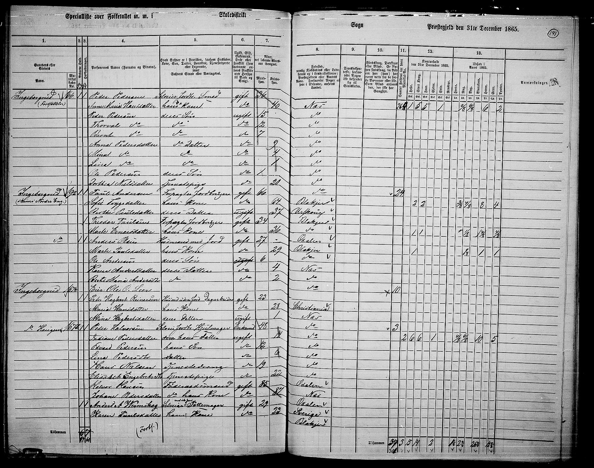 RA, 1865 census for Nes, 1865, p. 174