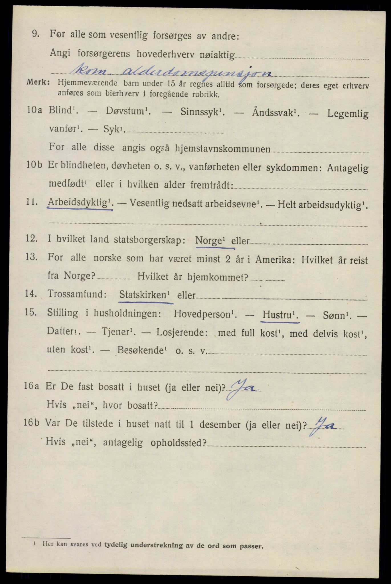 SAO, 1920 census for Nes, 1920, p. 13723